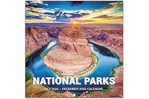 2024-2025 Grateful Dead Wall Calendar