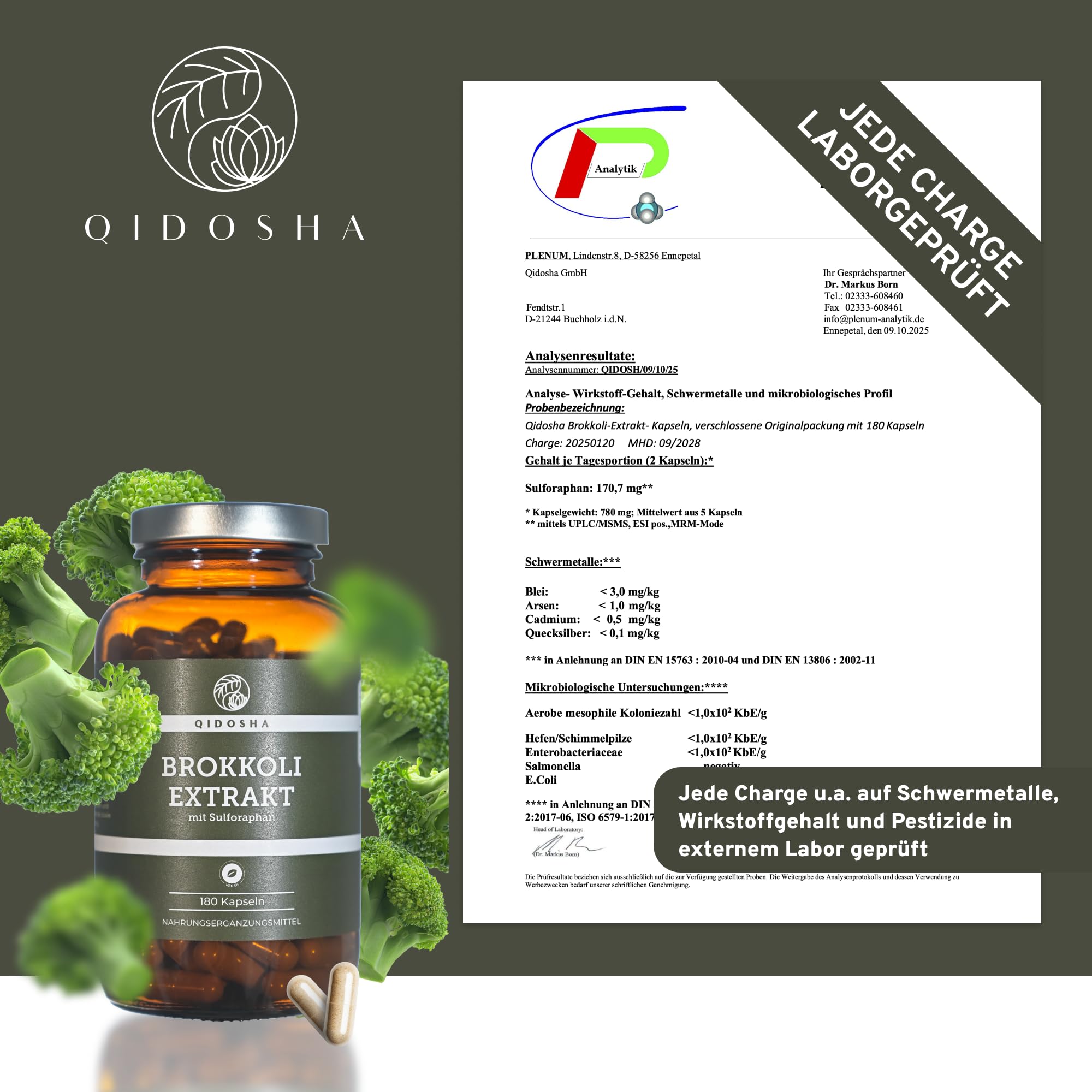 QIDOSHA® Brokkoli Extrakt hochdosiert, 13% Sulforaphan, 180 Kapseln im Apothekerglas, deutsche Fertigung, jede Charge laborgeprüft
