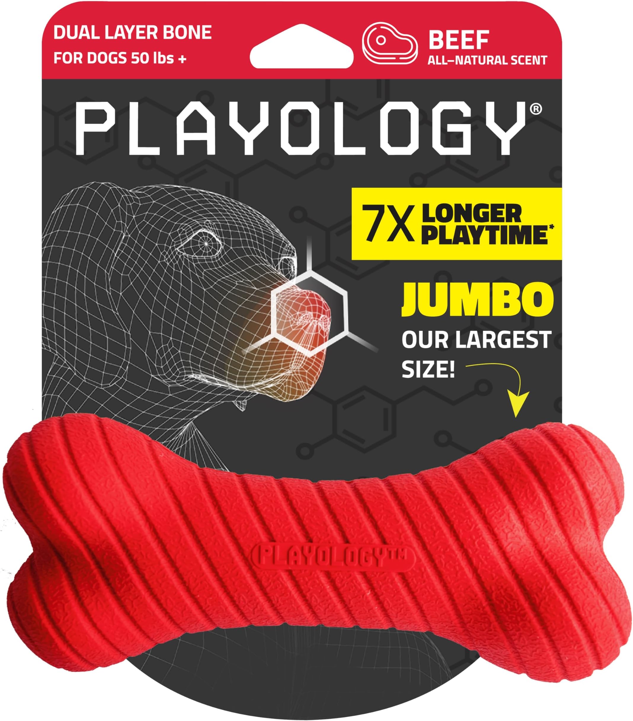 Dog Toys | Dual Layer Bone Durable Chew Toy Bone for Dogs | Jumbo Beef Scented Toy - Easy to Clean and Made from Non Toxic Materials