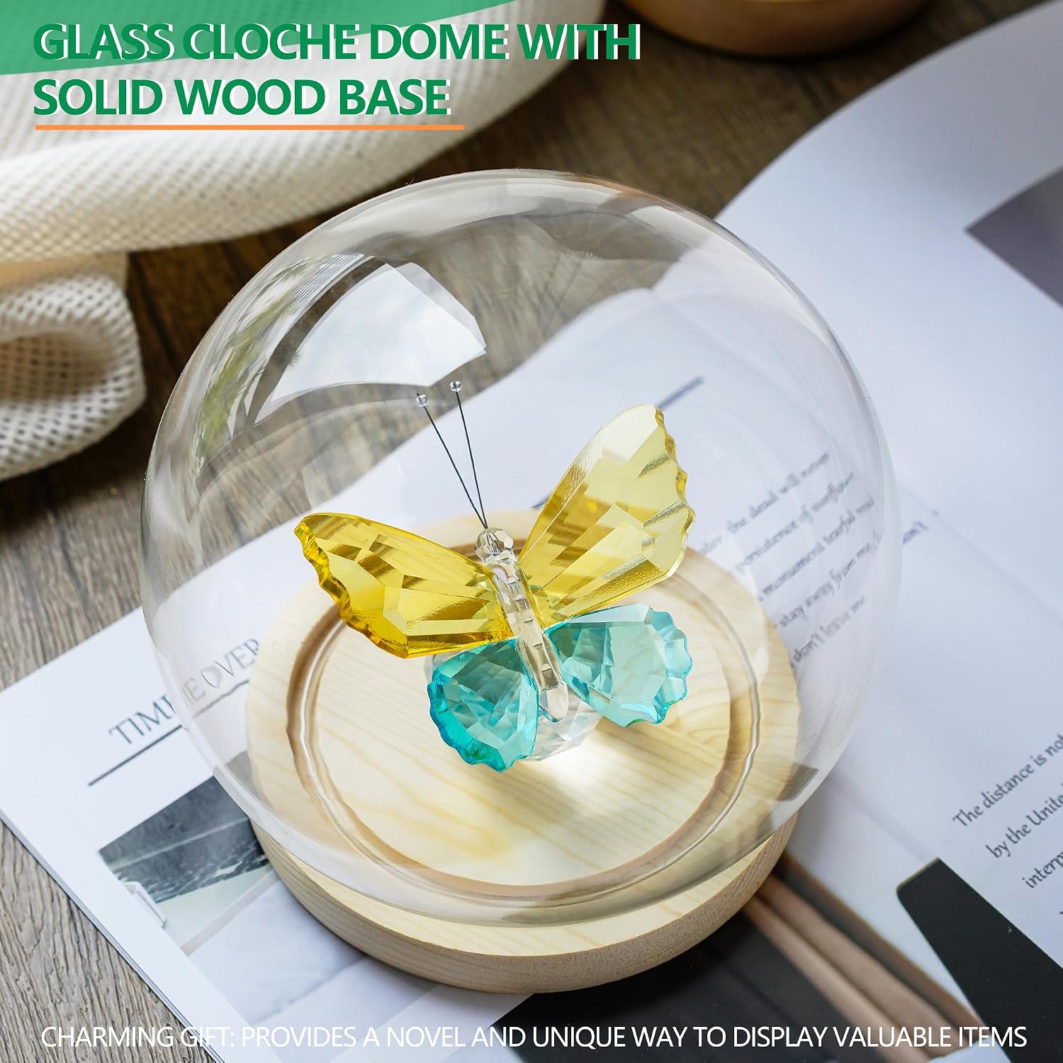 6inch Round Glass Cloche Display Dome and (5.9 x 4.9in) Glass Display Dome Cloche with Wooden Base image 3