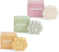 YOGATERIA Kit Escalda Pés Efervescentes | Sais para os pés | Argilas, Ervas, Óleos Essenciais e Vegetais, e Flores | 100% vegano e Natural e Livre de Lauril | Pés Macios e Hidratados | Reduz inchaço dos pés e pernas 50g / cx (Kit 3 - Calma | Energia | Harmonia)