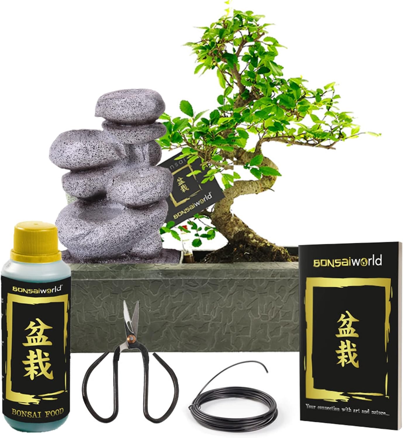 Entspannung Pflanze Zimmer Plant In A Box Echter Bonsai Mit Wasserfall &  Selbstbewsserung  Zen-Steine 25-35cm Hhe