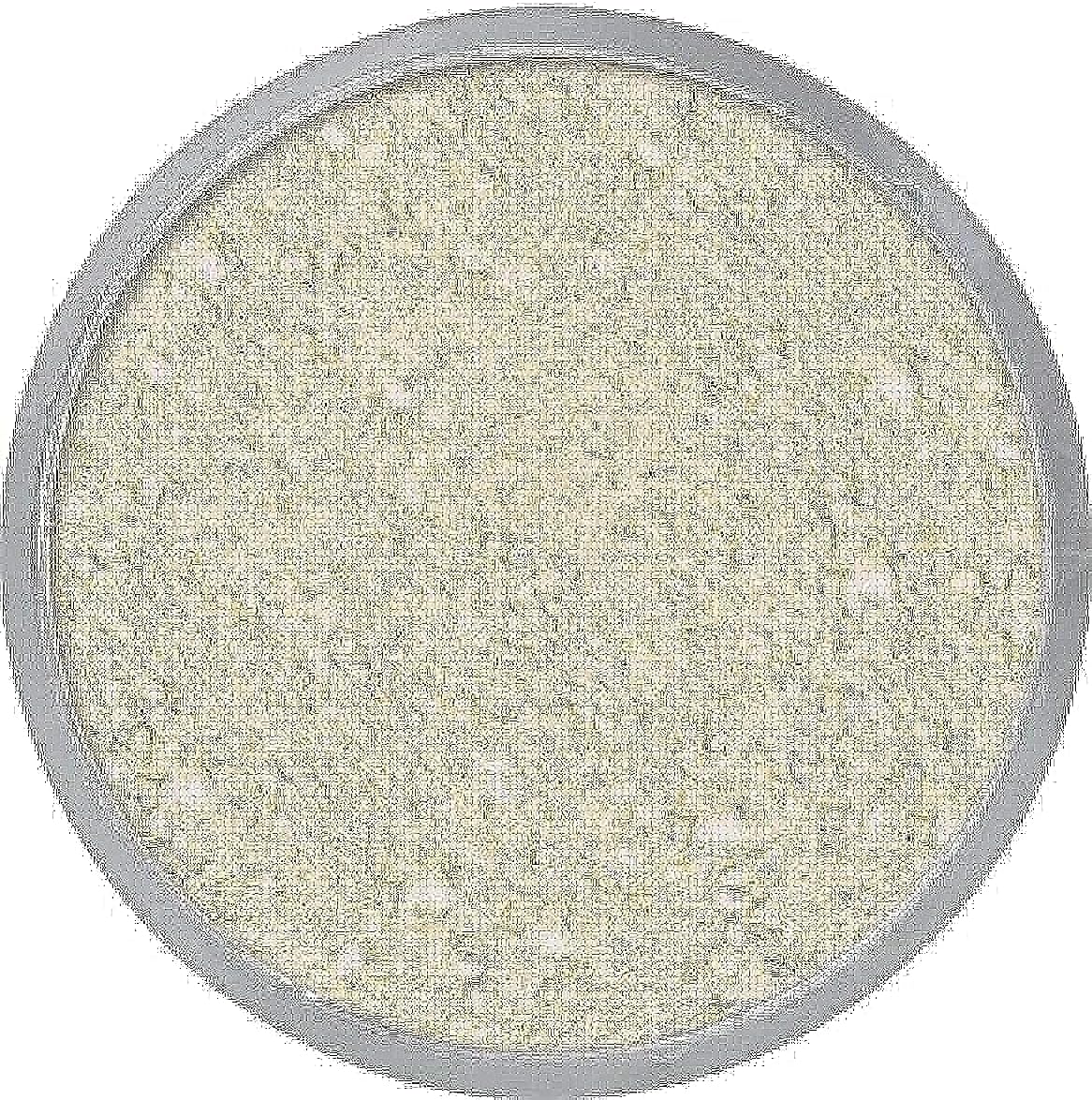 Kryolan Translucent Powder (TL4)