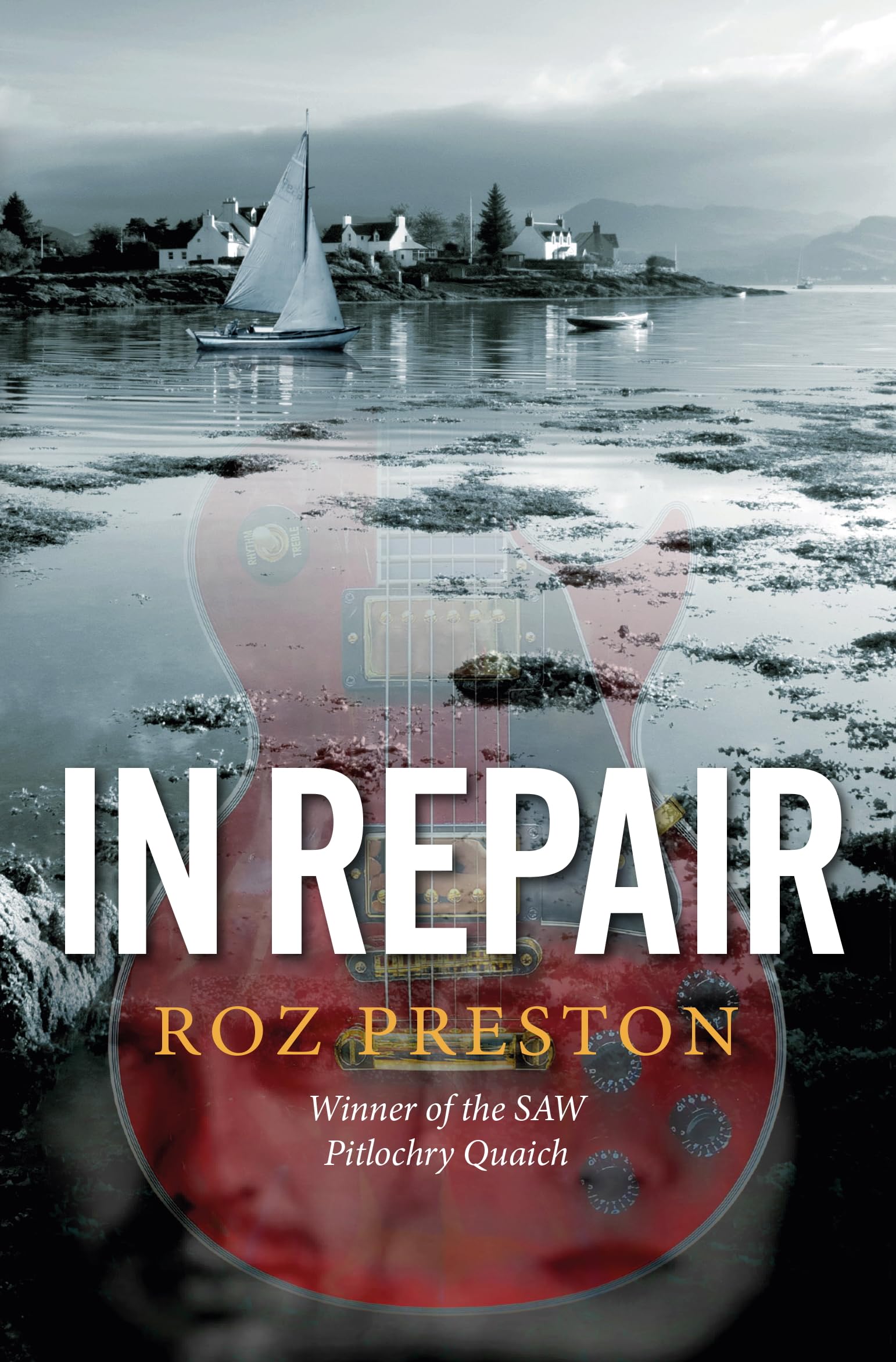 In Repair by Roz  Preston (Paperback Book)
