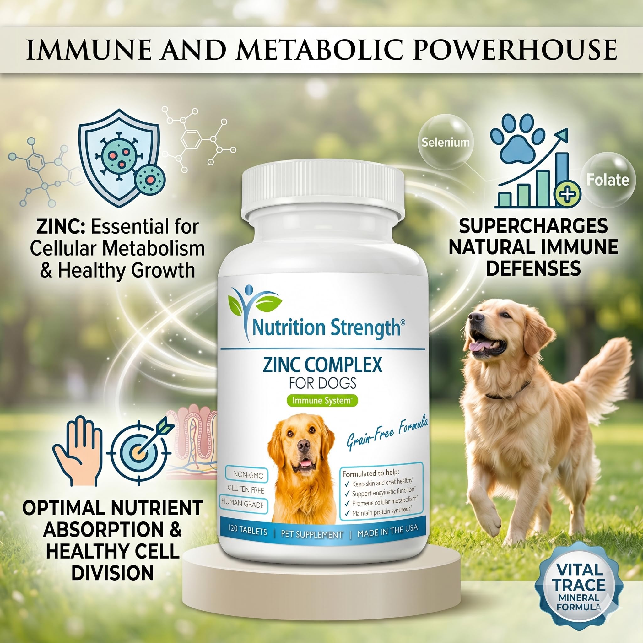 Zinc pour chiens pour soutenir une peau et un pelage sains, favoriser une croissance normale, une fonction immunitaire équilibrée et un métabolisme cellulaire, avec biotine, folate