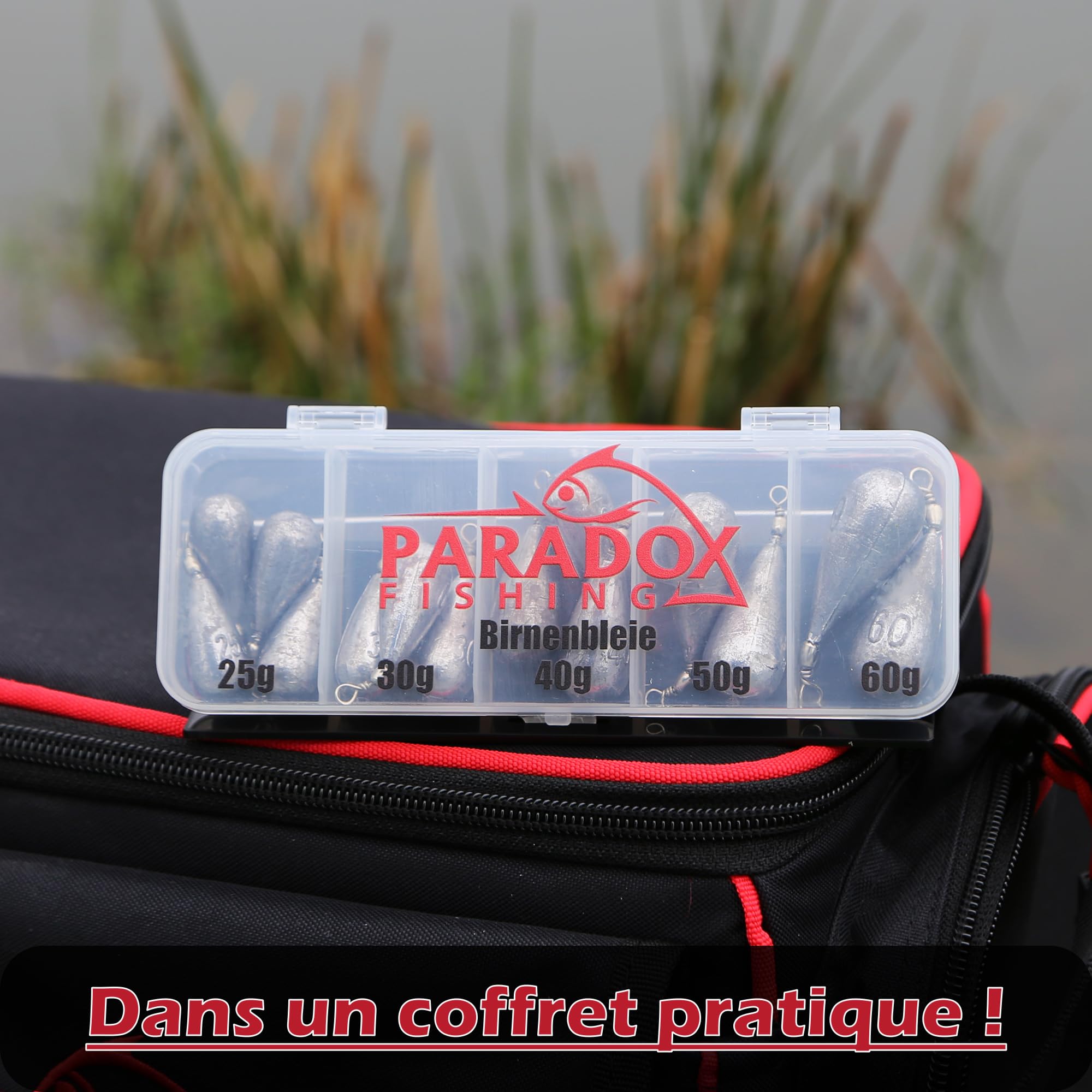 Paradox Fishing lot Plomb Peche 5g à150g I 10g 15g 20g 25g 30g 40g 50g 60g 80g 100g 120g 150g I sinkers Carpe Plomb