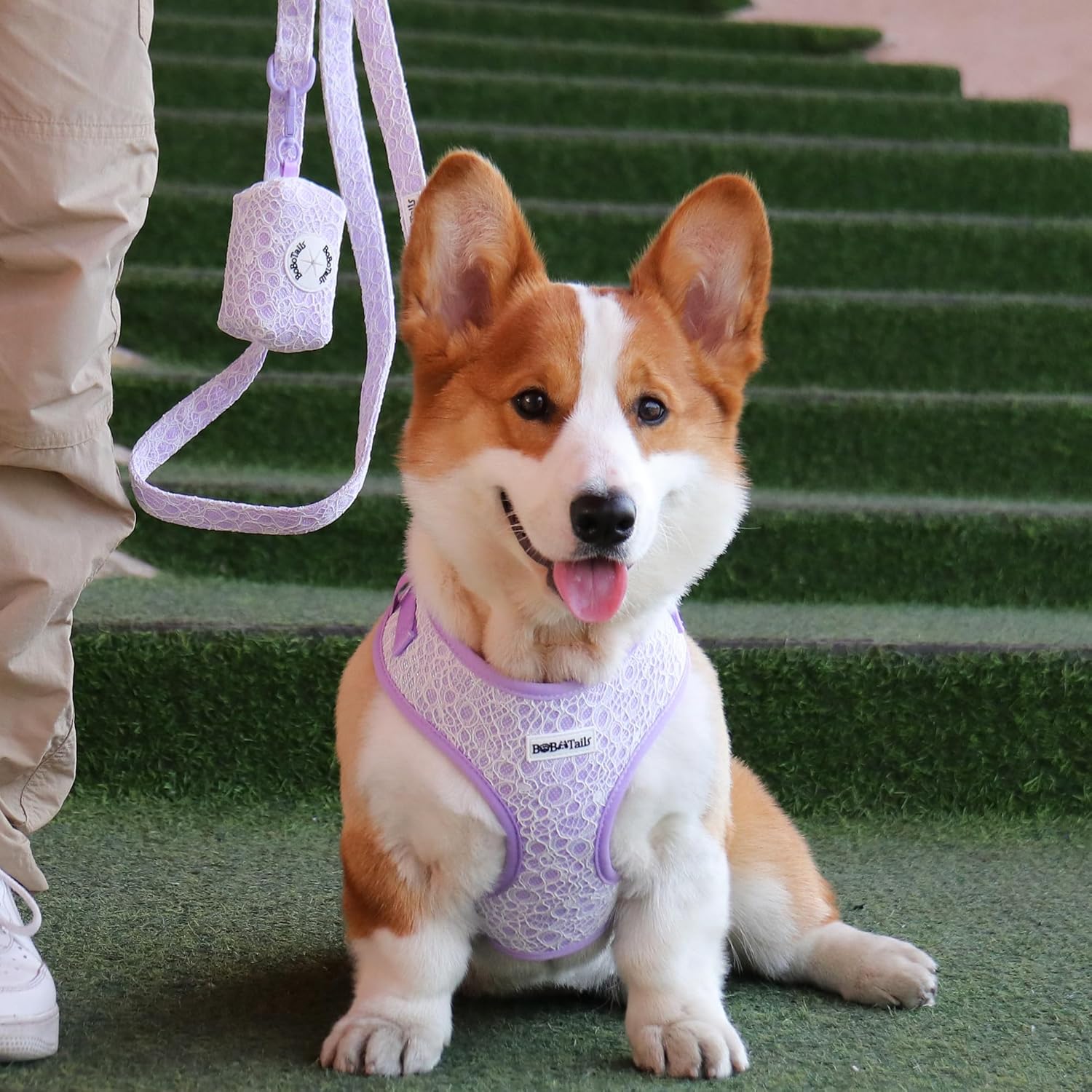 No Pull Dog Vest Harness for Small&Medium Dogs, Side Clip Adjustable Pet Vest, Soft Breathable, Fashion Dog Harnesses for Walking, Running, Shopping (Purple, S)