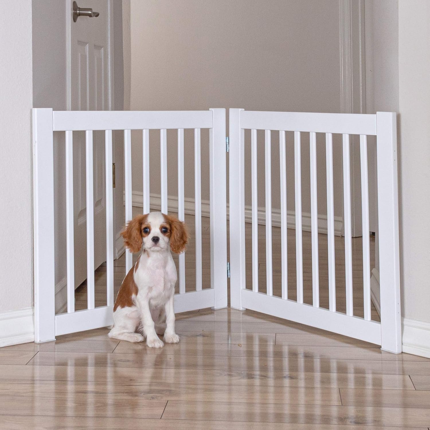 Primetime Petz 360 Pet Gate Extension,White