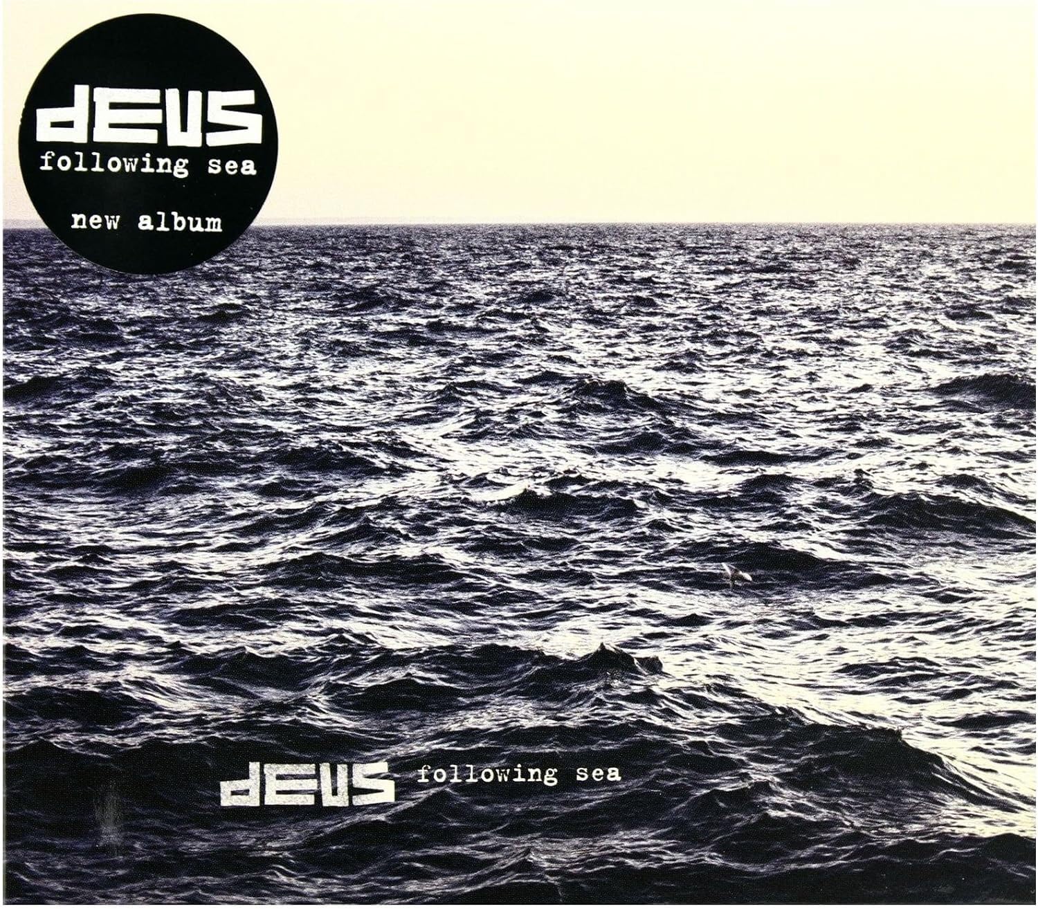 Following Sea [VINYL]