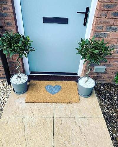 Tapete de corazón para exteriores en gris o rosa tapete para zapatos decoración de porche 16 x 24 pulgadas