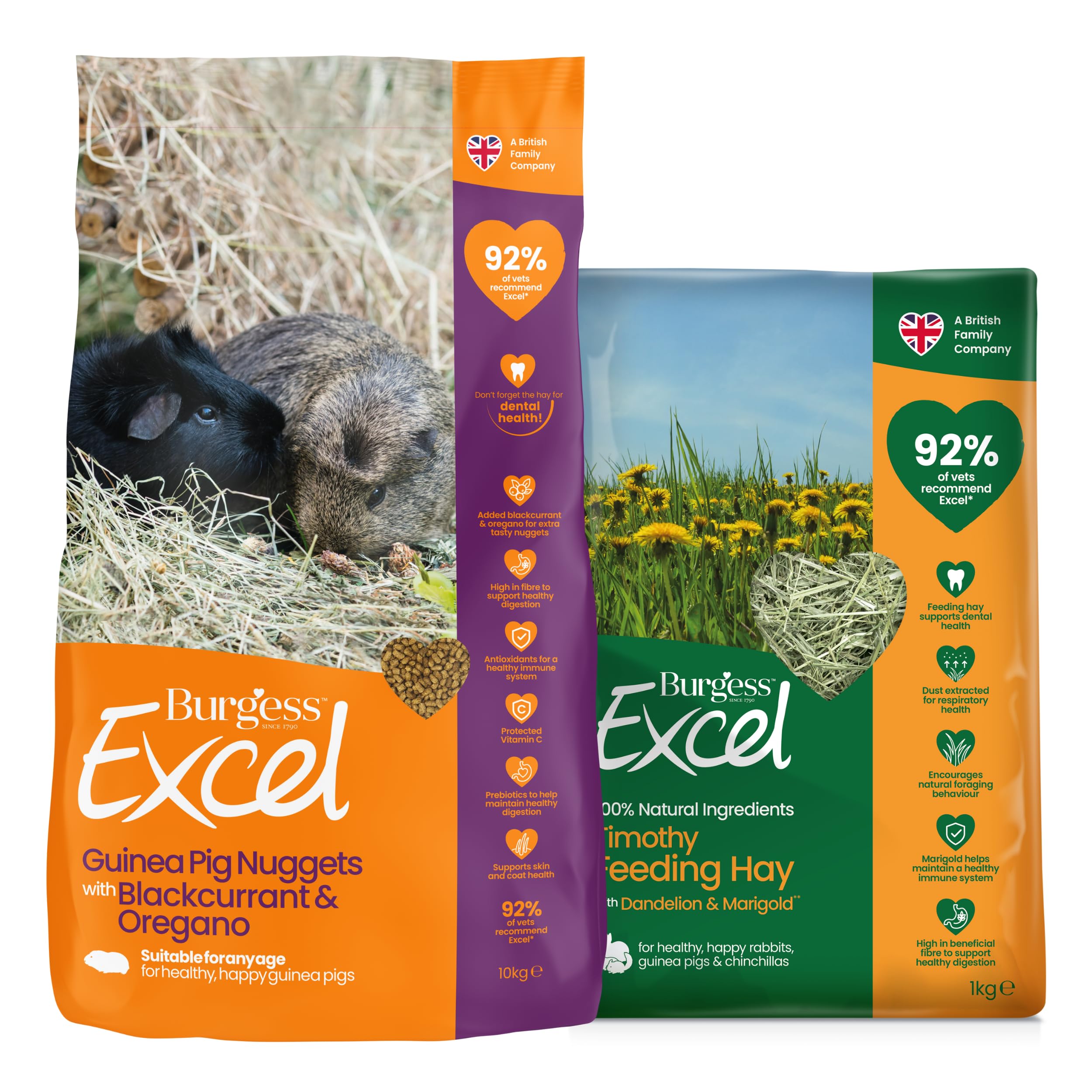 Burgess Excel 3KG Guinea Pig Food & 1KG Feeding Hay Bundle – Guinea Pig Blackcurrant & Oregano Nuggets and Dandelion & Marigold Feeding Hay for Guinea Pigs – Dust Extracted Hay & Guinea Pig Pellets