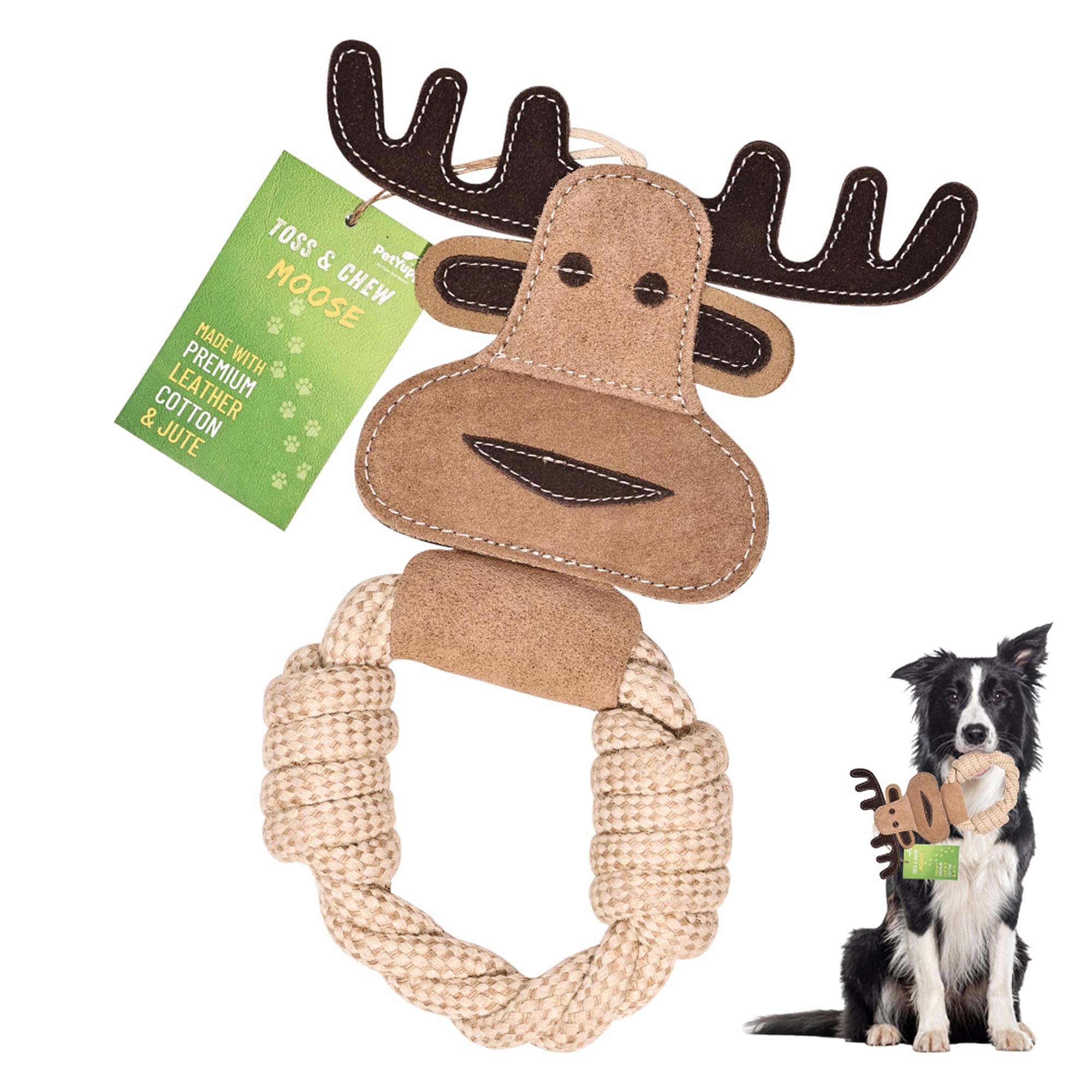 Jouet à mâcher en corde de coton pour petit chien - Soin dentaire et nettoyage des dents chiot