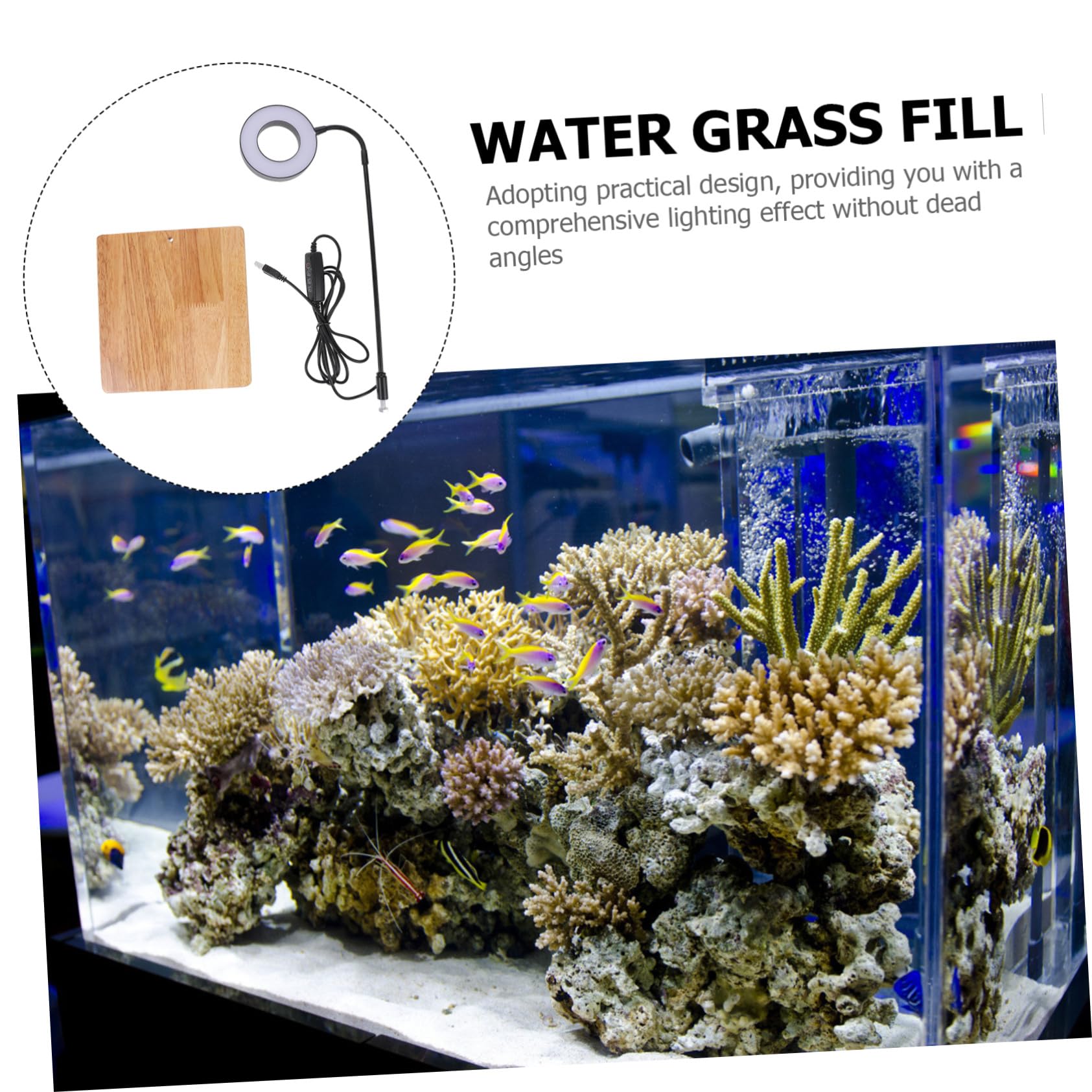 Luz LED para Acuario y Pecera, Iluminación Acuática Interruptor