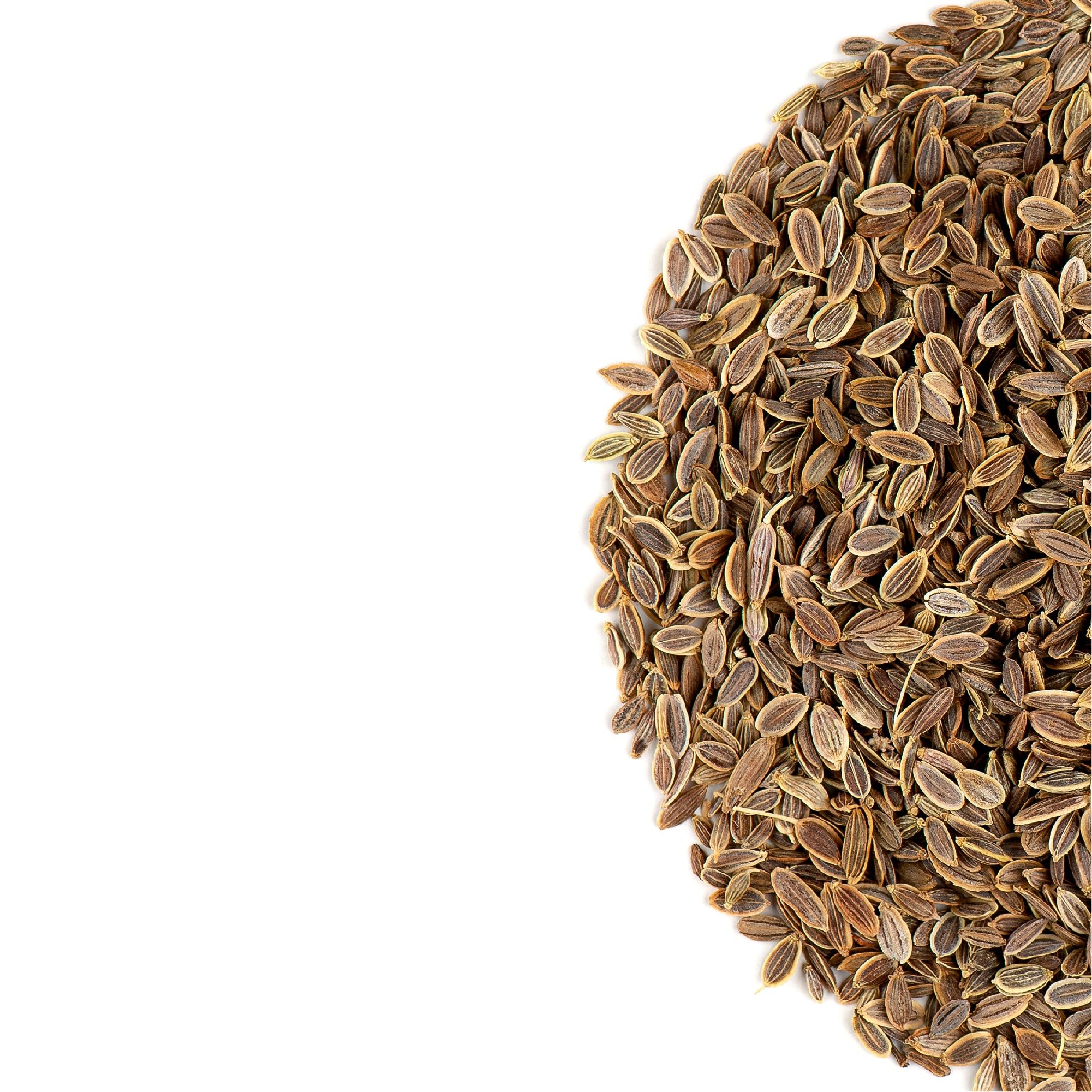 Aneth Graines Bio Qualité Culinaire - Grains D'Aneth