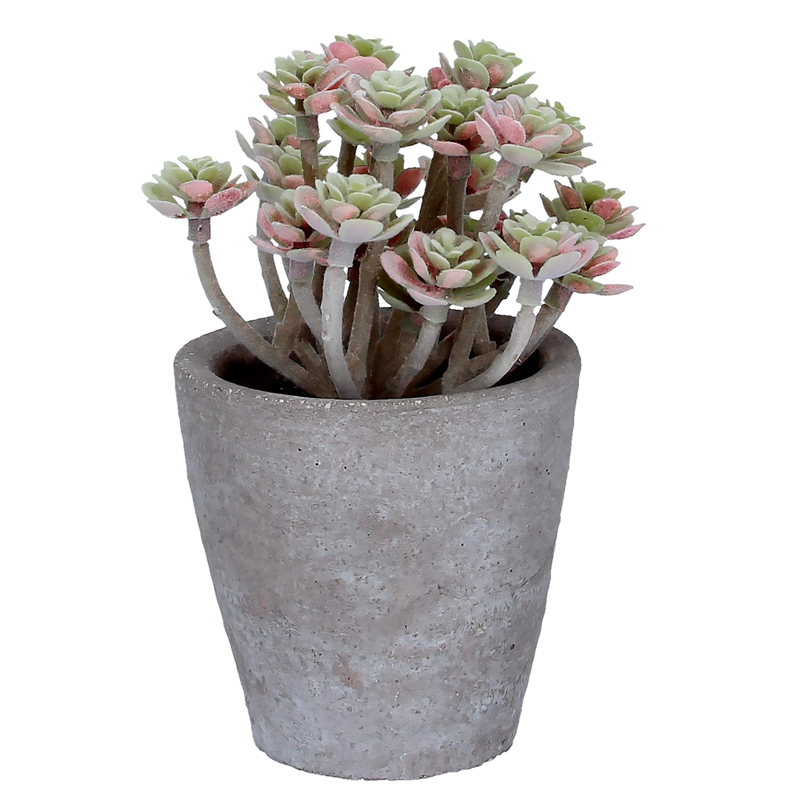Red Gisela Graham Tone Artificial Sedum Succulent Potted Plant