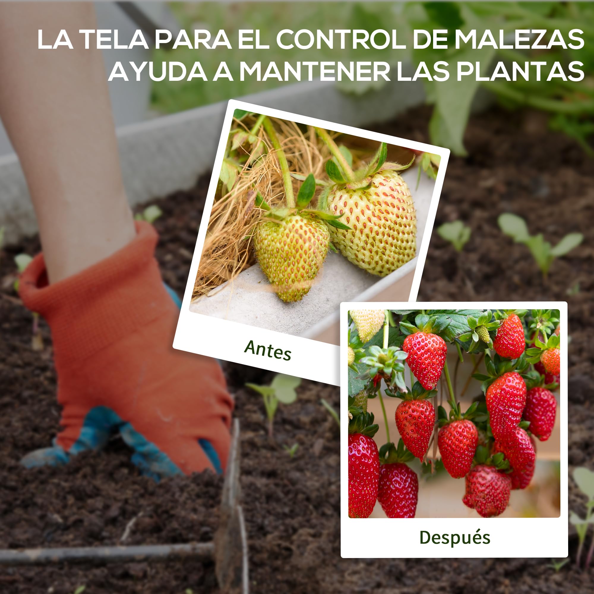 Outsunny Malla Antihierbas Malla Antimaleza 2x100 m Malla Geotextil para Control de Malezas y Malas Hierbas de Jardín Rollo de Malla Antimaleza para Terraza Patio Negro