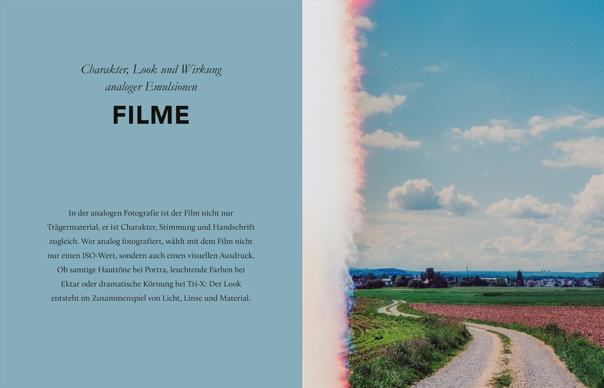Analog fotografieren: Die klassische Art der Fotografie. Langsamer und bewusster fotografieren. Filmlooks, Tipps u. Inspiration