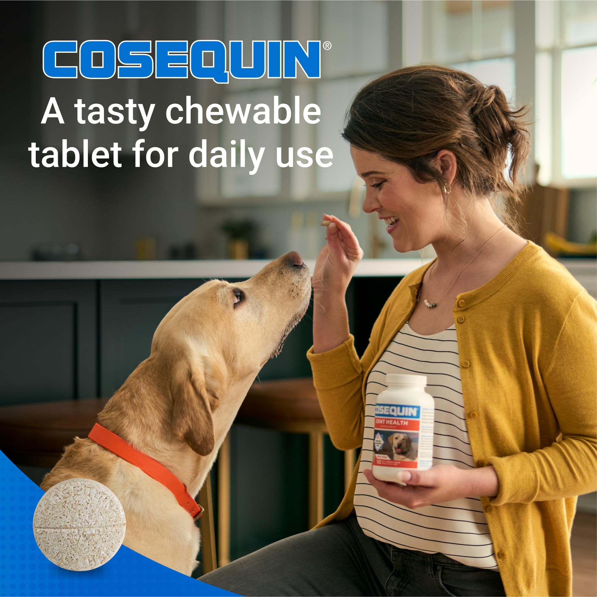 Nutramax Cosequin Nutramax Ds Chewables Plus Msm, 60 Ct, Dog, Tablet 4