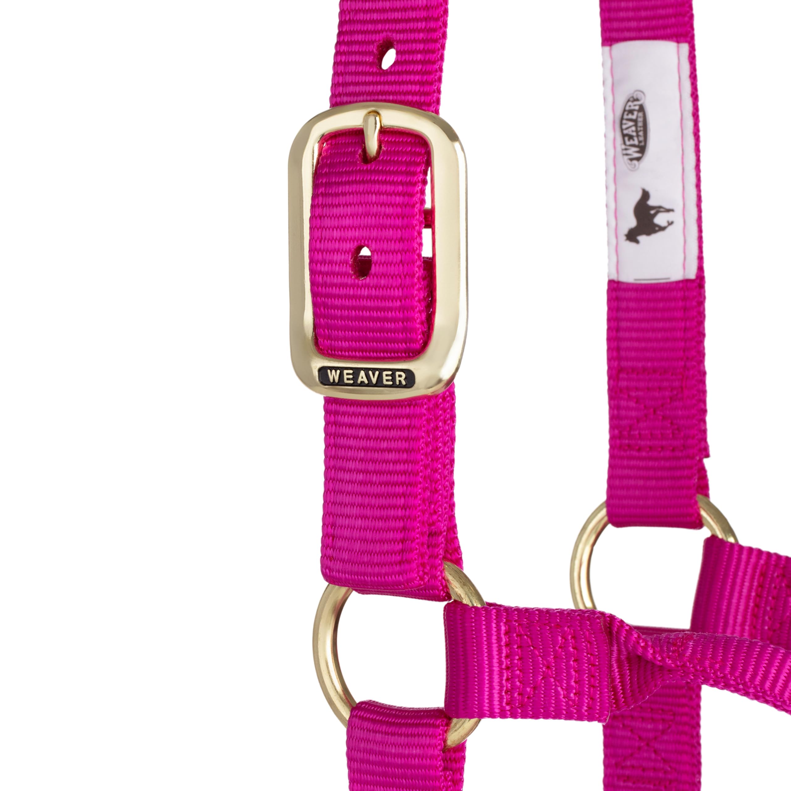Weaver Leather Original - Cavezza Non Regolabile, per Cavallo tra 1 e 2 Anni, M, Lampone