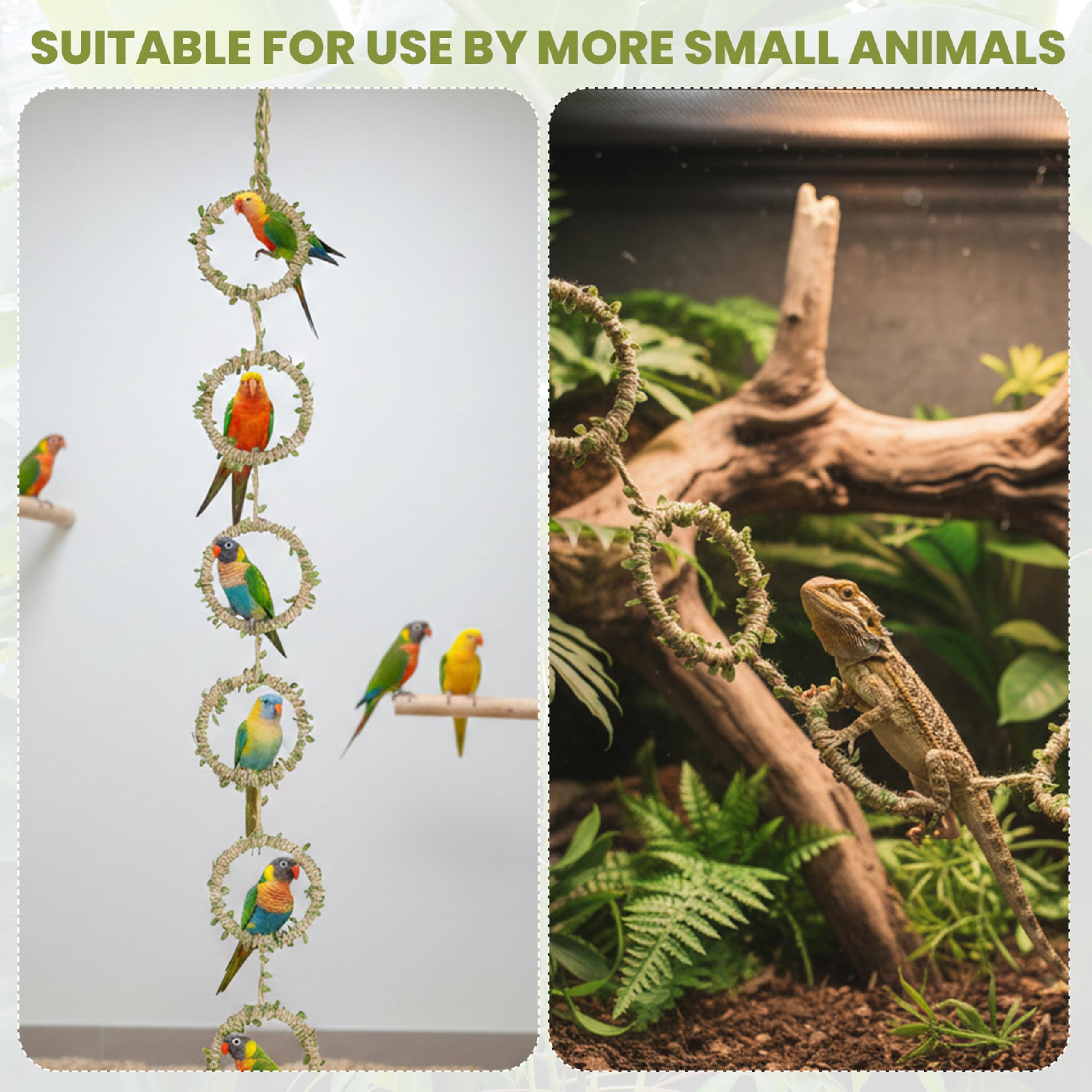 Snake Climbing Rings for Ball Python & Corn Snake, Enrichment Pet Toys Reptile Tank Cage Decor Habitat Accessories for Terrarium, Bearded Dragon, Chameleon, Lizard, Parrot - 5