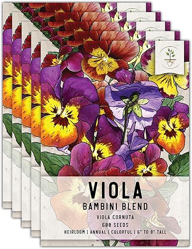 Miniatura 12 de Seed Needs Semillas de viola para plantar violas Bambini, flores anuales de polinización abierta para plantar y cultivar un jardín de mariposas