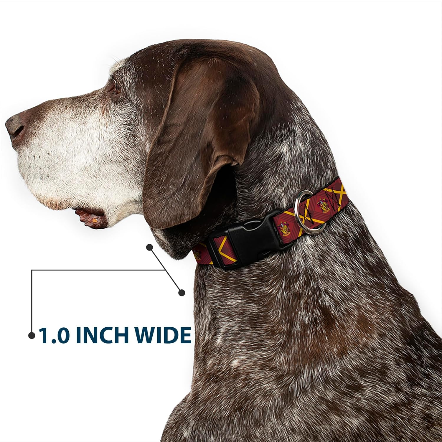 Buckle-Down Dog Collar Plastic Clip Harry Potter Gryffindor Crest Plaid Reds Gold 13 to 17 Inches 1.5 Inch Wide