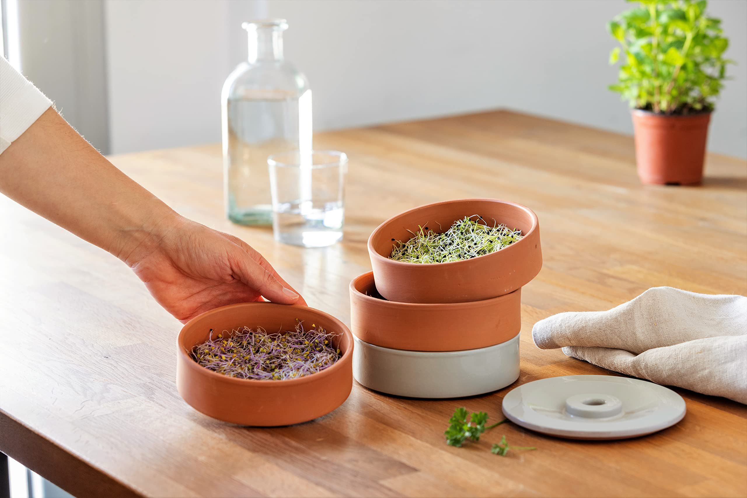 Germogliatore Automatico Per Semi - Kit Per Coltivare Germogli Di Soia, Avocado E Verdura In Casa, Senza Terra - Foto 7