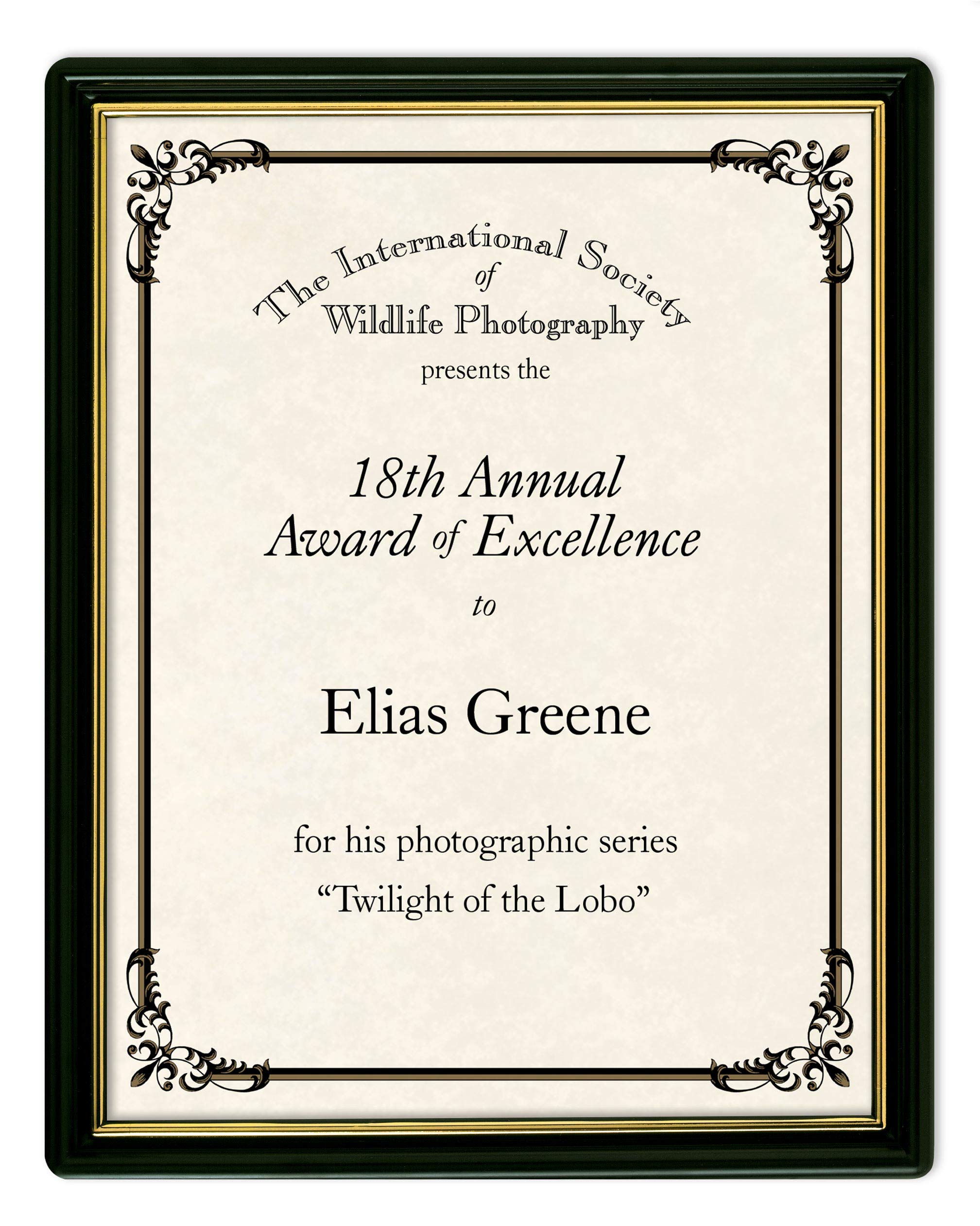 PaperDirect Black Plastic Certificate Frames, 8.5 x 11 Inches, Frame Documents, Certificates, Diplomas, Pack of 3, For School, Work, Diplomas, Certificates And Awards