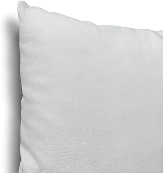 EDOW Throw Pillow Insert, Lightweight Soft Polyester Down Alternative Decorative Pillow, Sham Stuffer, Machine Washable. (Grey, 20x20)