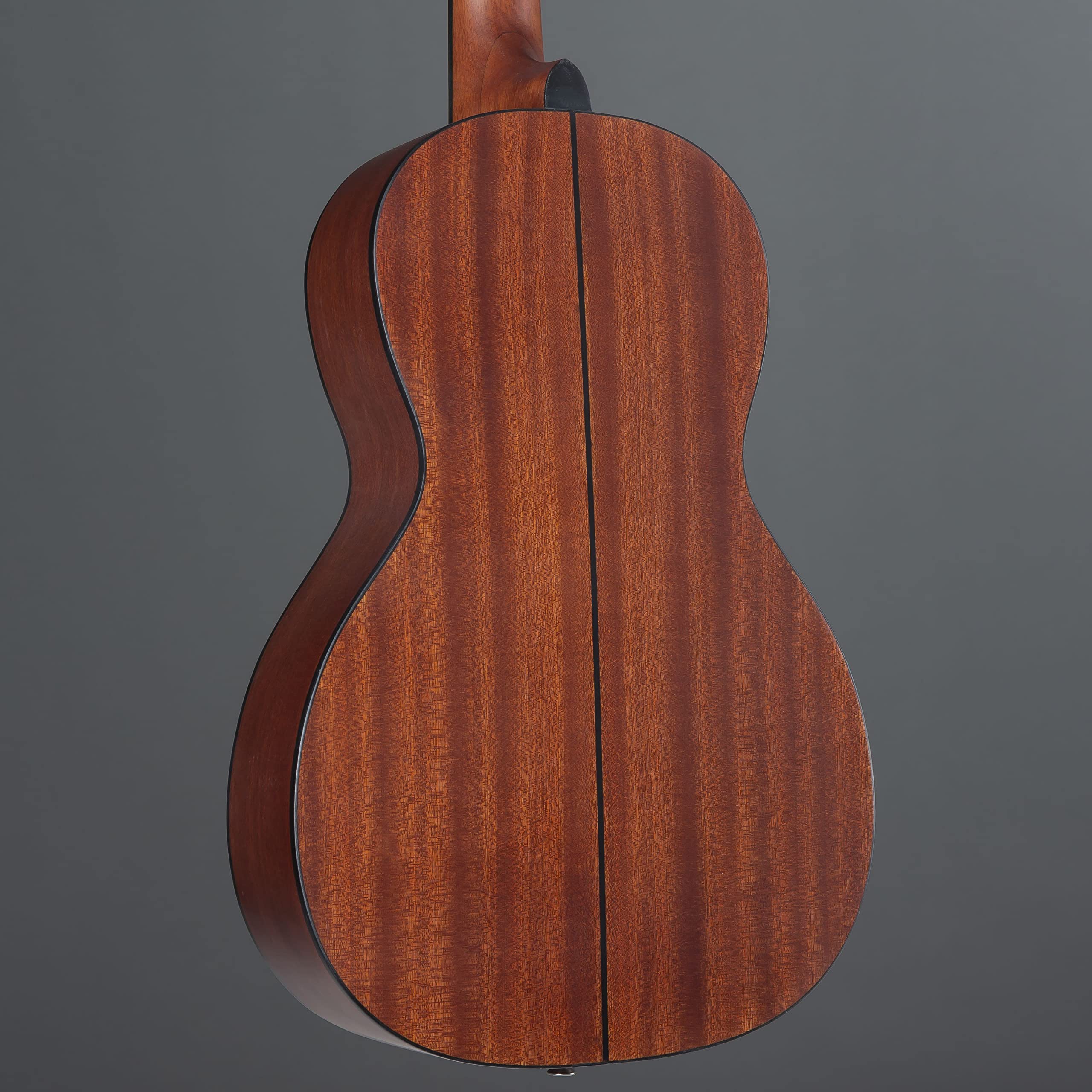 J & D AP-5 Parlor Matt - Guitare Acoustique