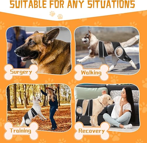Miniatura 3 de Rodillera para perro ACL, soporte de cadera para perro para desgarro frontal y trasero, patas traseras de ACL, cómodo y ajustable, soporte para
