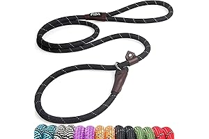 Fida 6FT Durable Simple Dog Leash