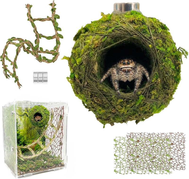 Kit de Decoração para Terrário com Esconderijo Magnético de Musgo e Ponte de Corda para Aranhas-Saltadoras Funtinshdy FTSD-JPS-Hide