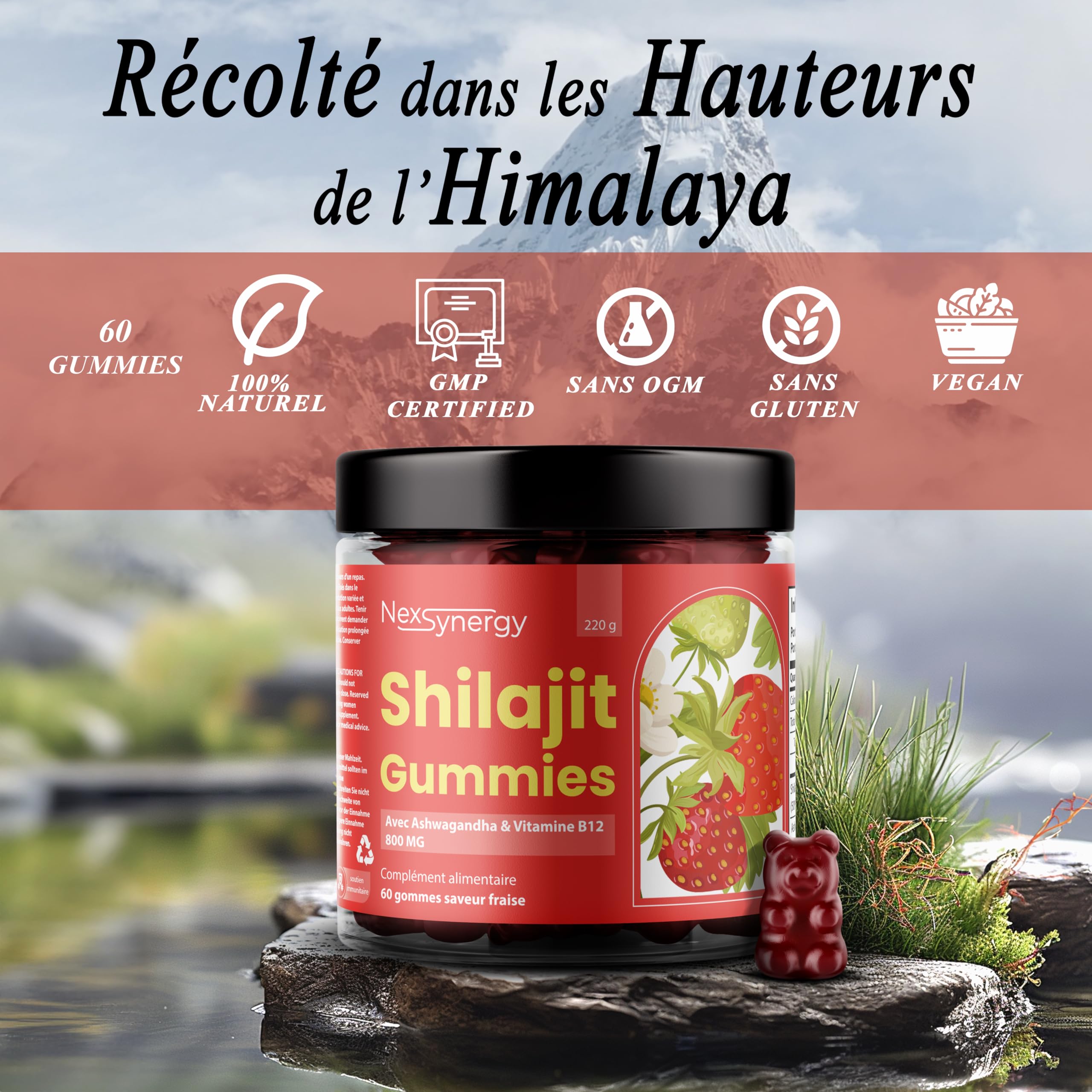 Gummies SHILAJIT avec ASHWAGANDHA et VITAMINE B12 | 800mg par Portion | 60 gommes Saveur Fraise | 50% d'Acide Fulvique | 100% Naturel, Végan et Sans Gluten