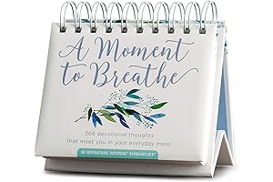 DaySpring: A Moment to Breathe 366-Day Daily Prayer Calendar 2024