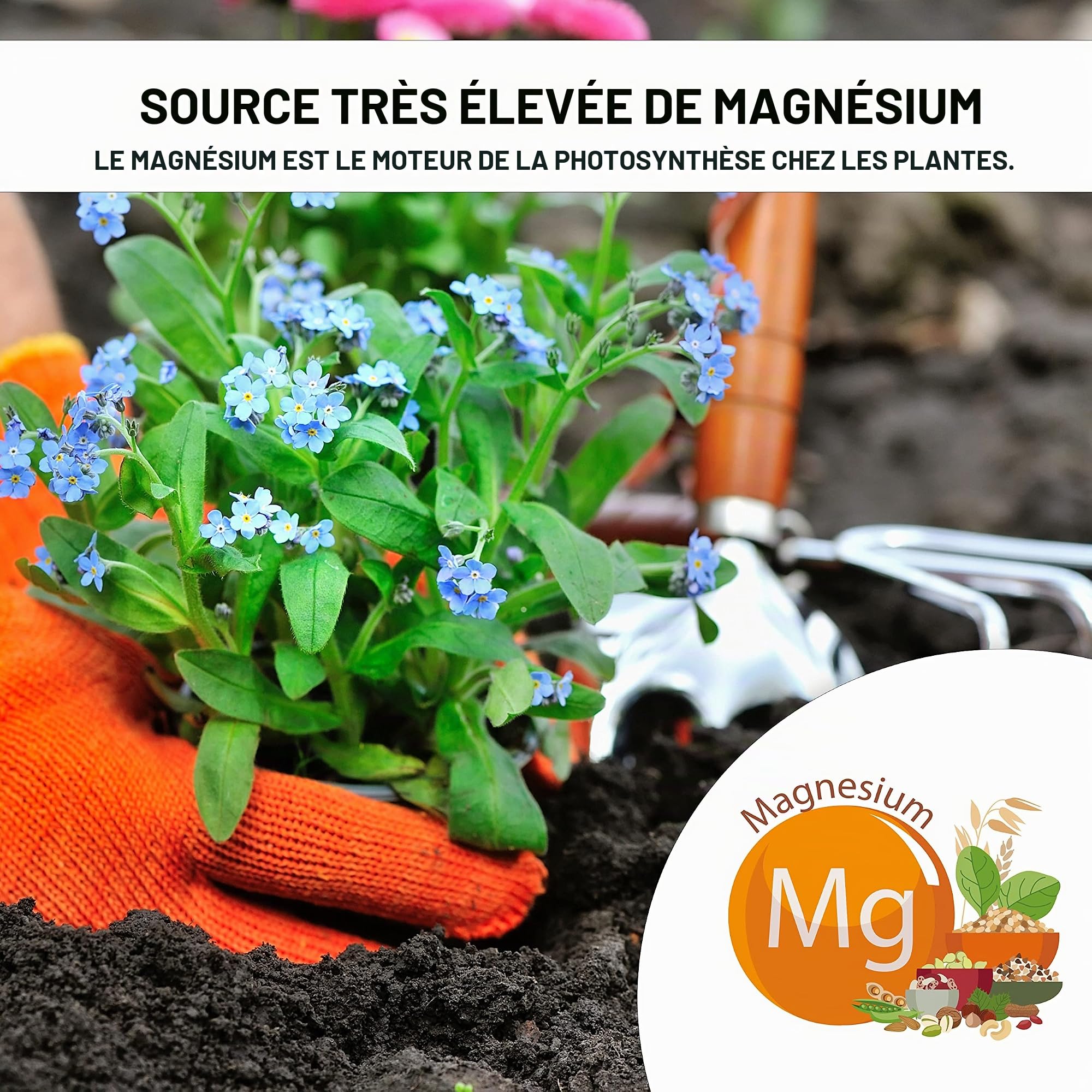 bleu & marine Bretania Sel Epsom Engrais de Jardin Universel Écologique 7 kg Fertilisant Potager Nutriment Plantes d'intérieur, Feuilles Jaunes, Tomates, Pelouse