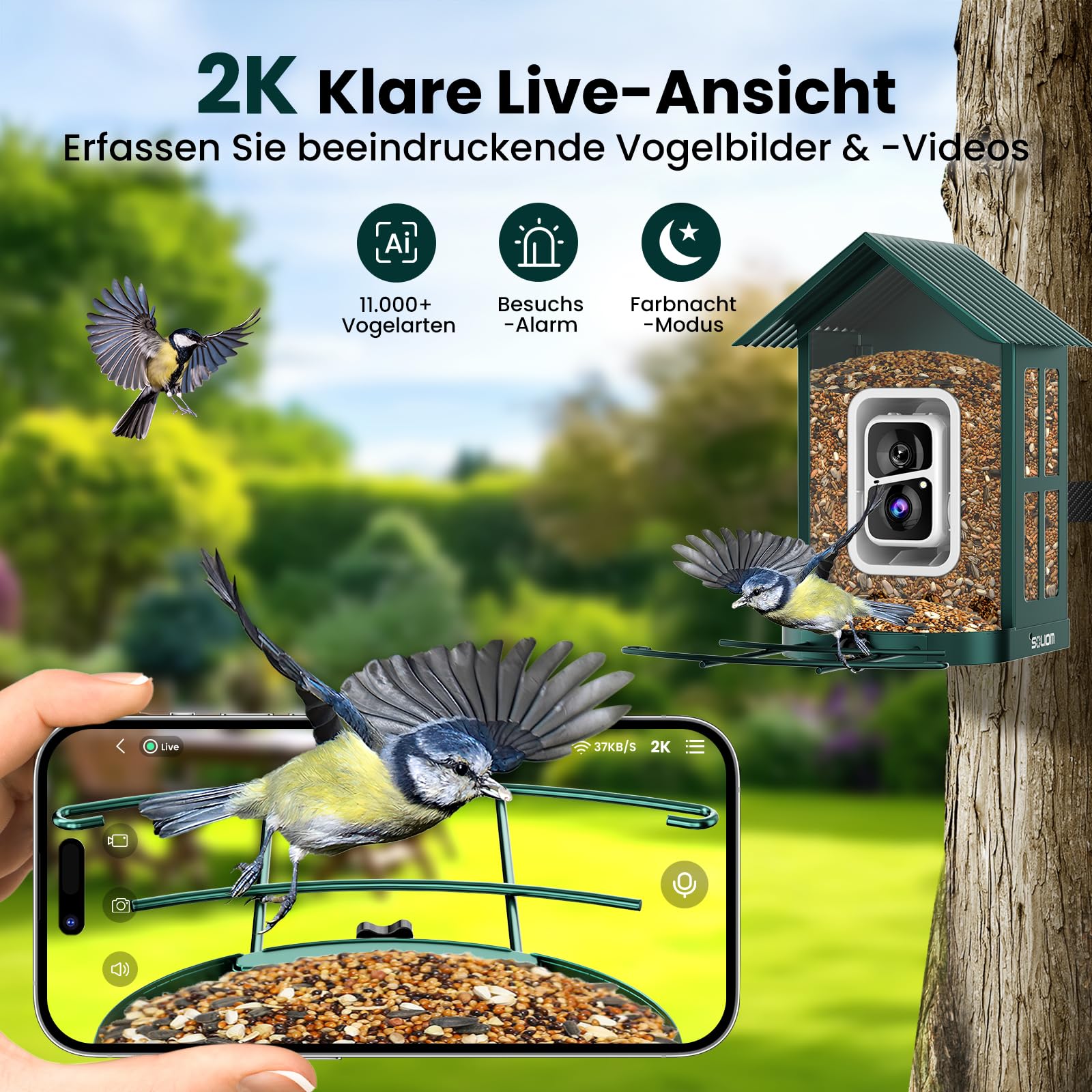 SOLIOM BF08 Pajarera con cámara, comedero para pájaros para el patio trasero, comedero para pájaros con grabación de vídeo, cámara WiFi, alimentador inteligente para pájaros con panel solar y