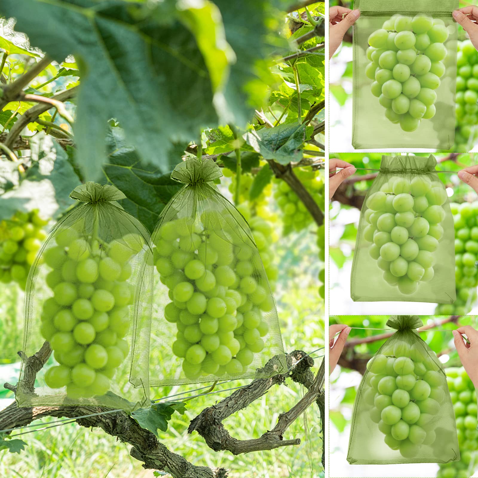 Sacs de protection pour fruits - 100Pcs - Réutilisables - Anti-Insectes