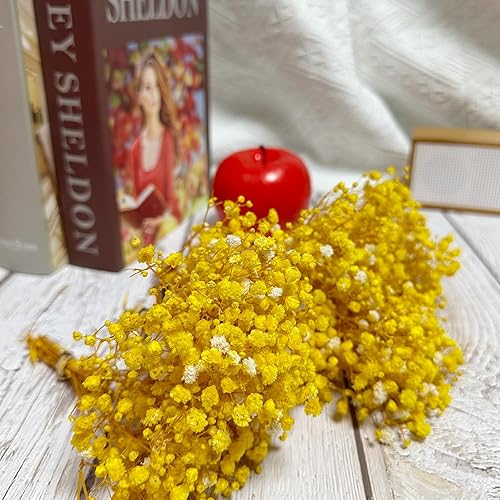 Miniatura 5 de 6 ramos preservados del aliento del bebé, tamaño mini, 100% natural, gypsophila, flores de larga duración para jarrón, decoración del hogar,