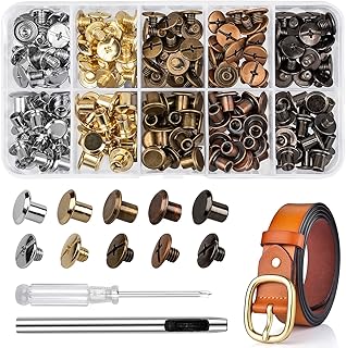 100 Sets Chicago Screws for Leather Crafting 7/20 Inch, 5 Colors of Rivets for