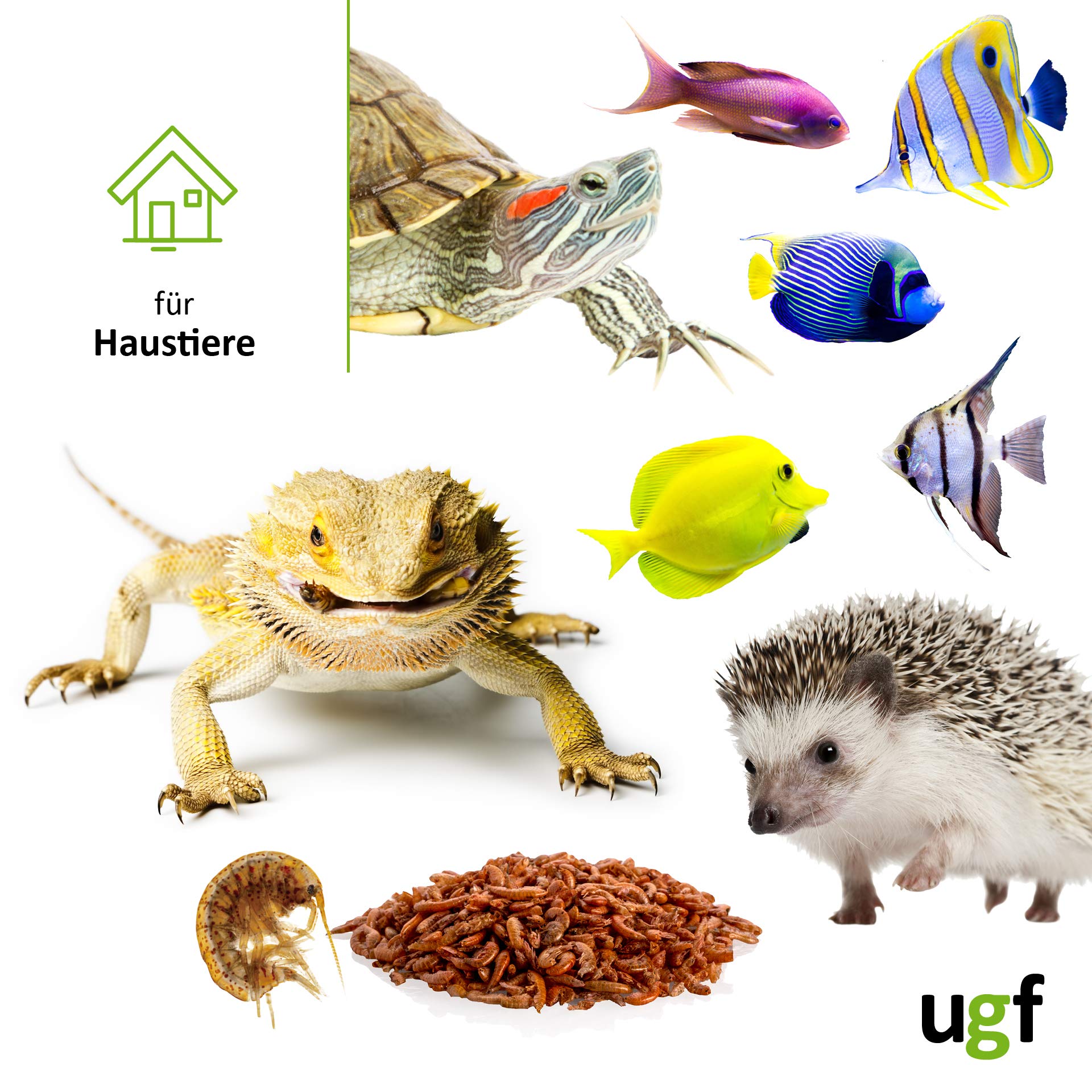 UGF - Camarones Gammarus Premium Deshidratados de Agua Dulce - 318 g en un Cubo de 3 litros, Alimento para Tortugas, Peces de Acuario, Ajolotes, Hámsteres, Erizos, Carpas Koi y Ratas — view 4