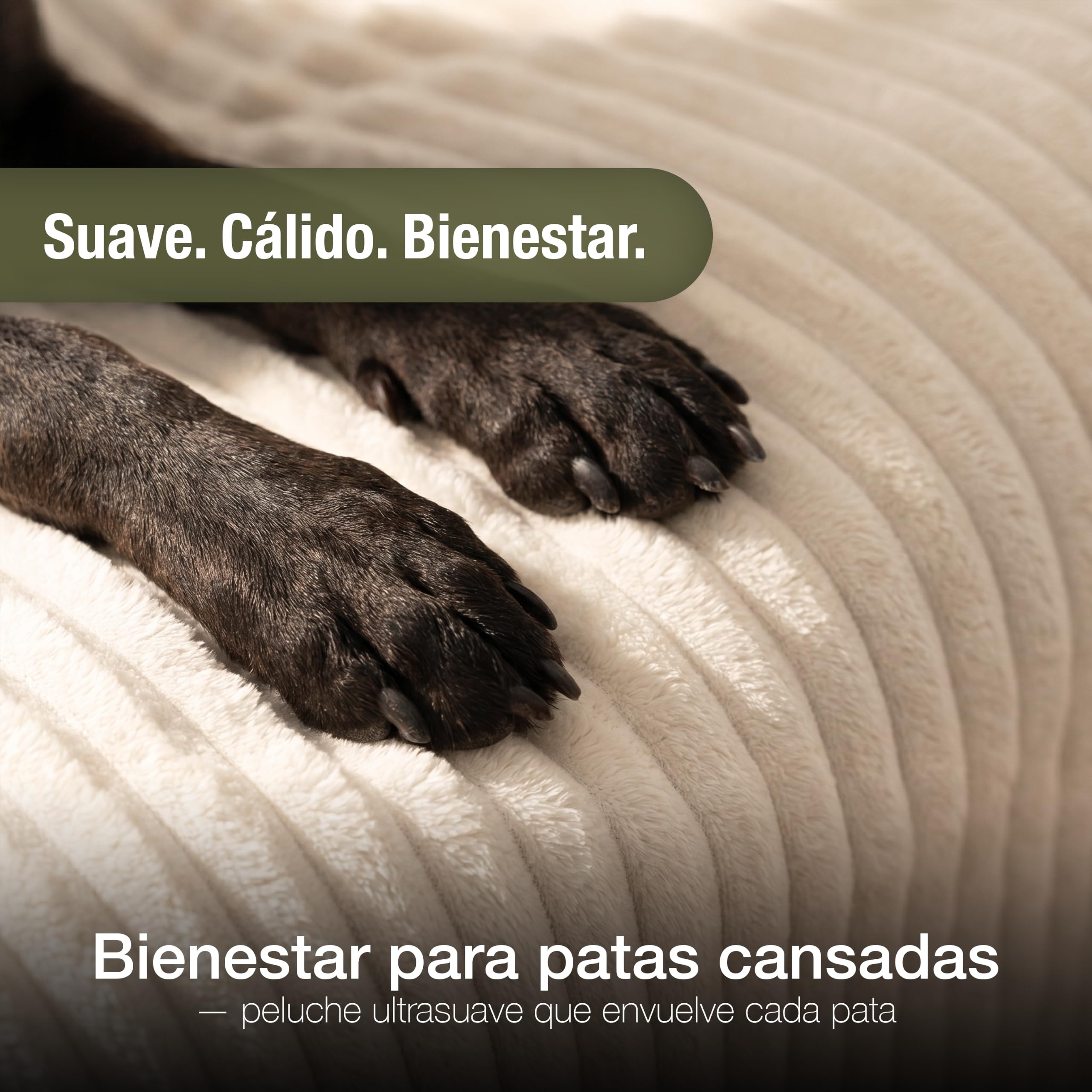 Funda Sofá & Cama Perro para Perros Pequeños y Medianos, Felpa con Aspecto de Pana, Manta Impermeable Lavable Extraíble para Mascotas, Antideslizante, Protector de Muebles, Color:Marfil