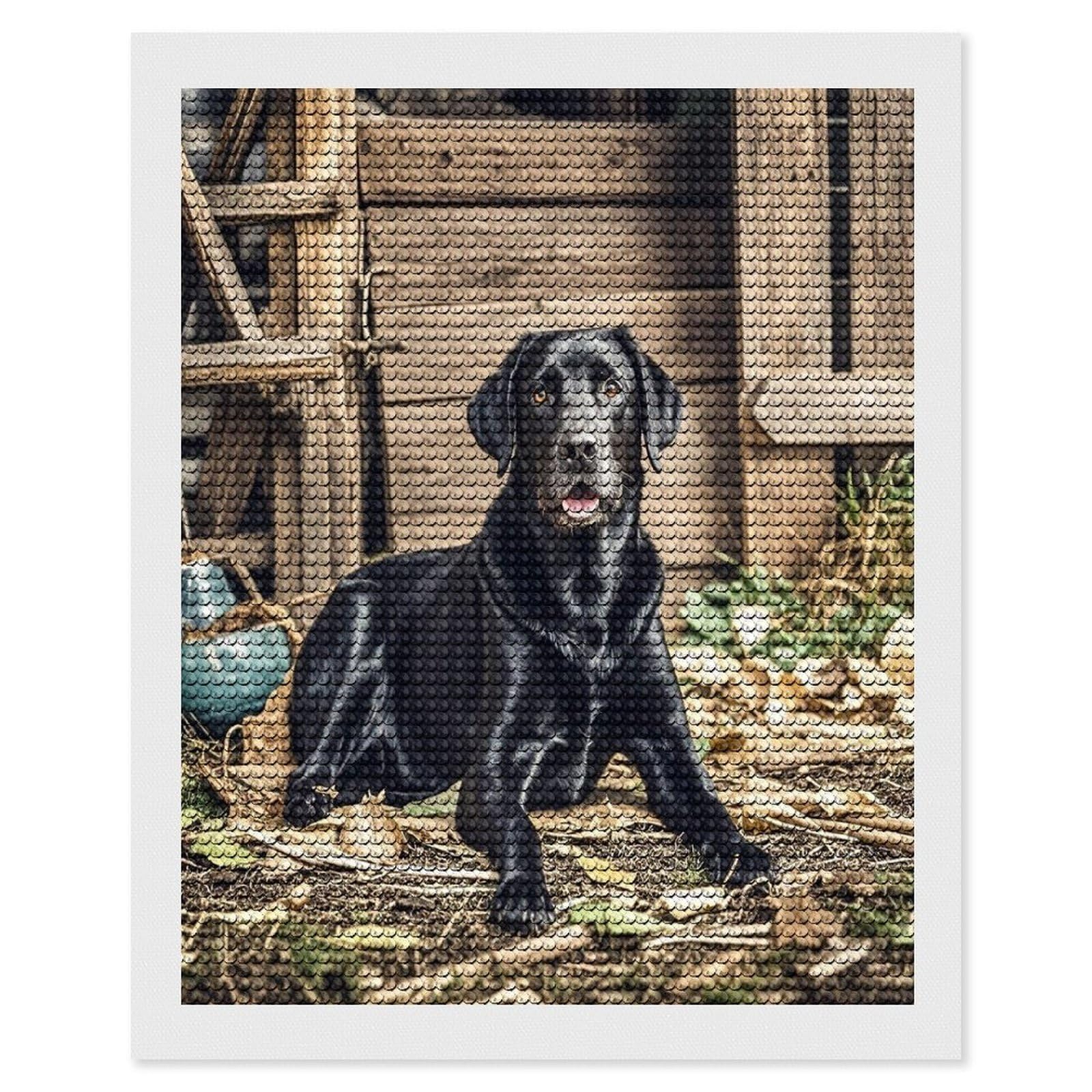 FekiLoot Black Labrador Diamond Painting Kits for Adults Full Round Drill Diamond Art Kits for Beginners 5D DIY Diamond Dots Paintings Diamonds Pictures Gem Art Home Wall Decor 16"x20"