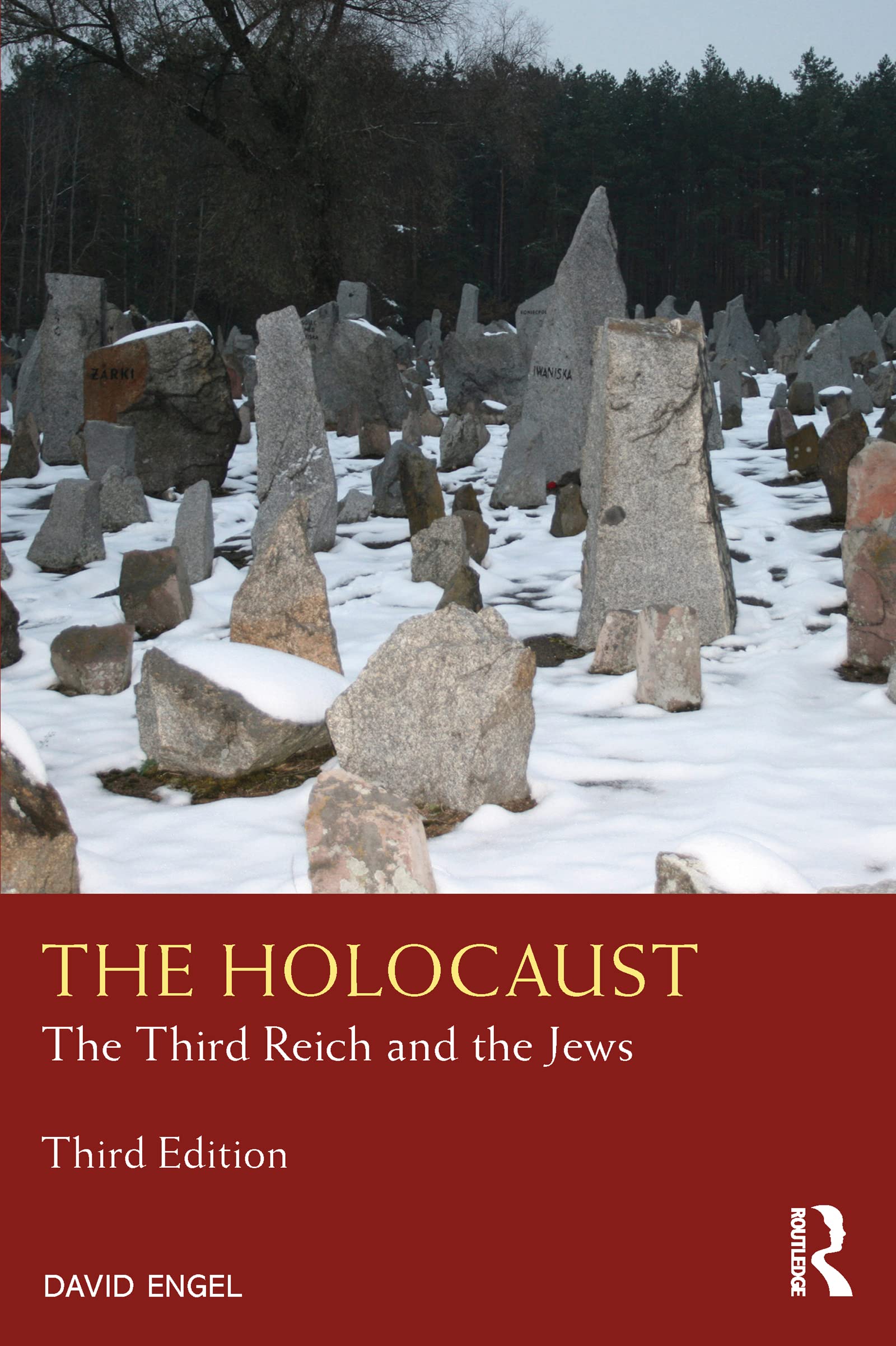 The Holocaust: The Third Reich and the Jews (Seminar Studies)