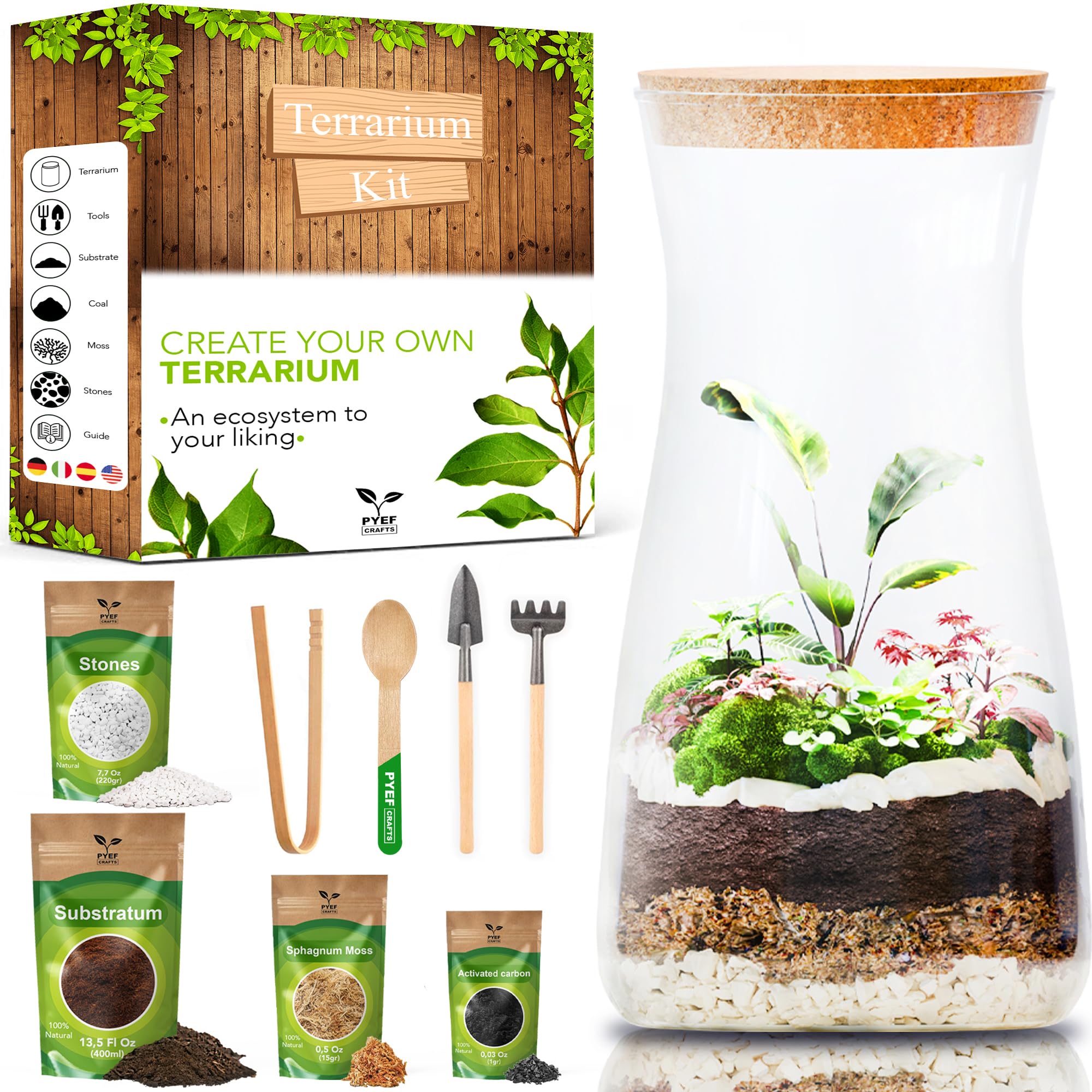 DIY Terrarium Kit for Adults – Build Your Own Self‑Sustaining Closed Ecosystem – 34 fl oz (1‑Liter) Glass Terrarium – Succulents, Air Plants, Fittonia, Fern – Plants Not Included