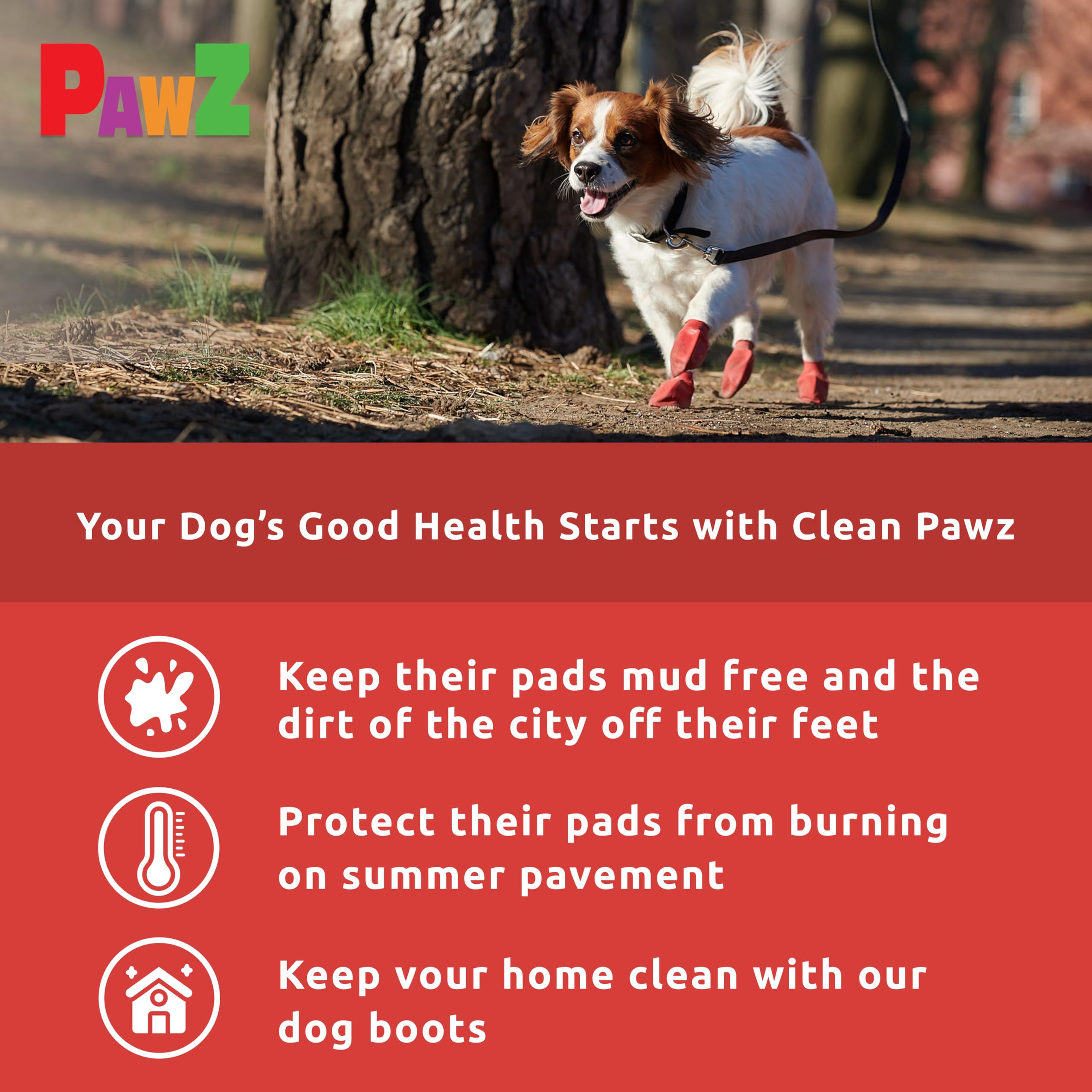 Wood.L Bottes pour Chien - Neige Iperéables pour Chiens, Protection des Pattes pour Chiens