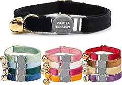Coleira personalizada para gatos com fivela de segurança - nome e número de telefone gravados, coleira personalizada para animais de estimação com sino para cães pequenos e filhotes (preta, G (20 a 33