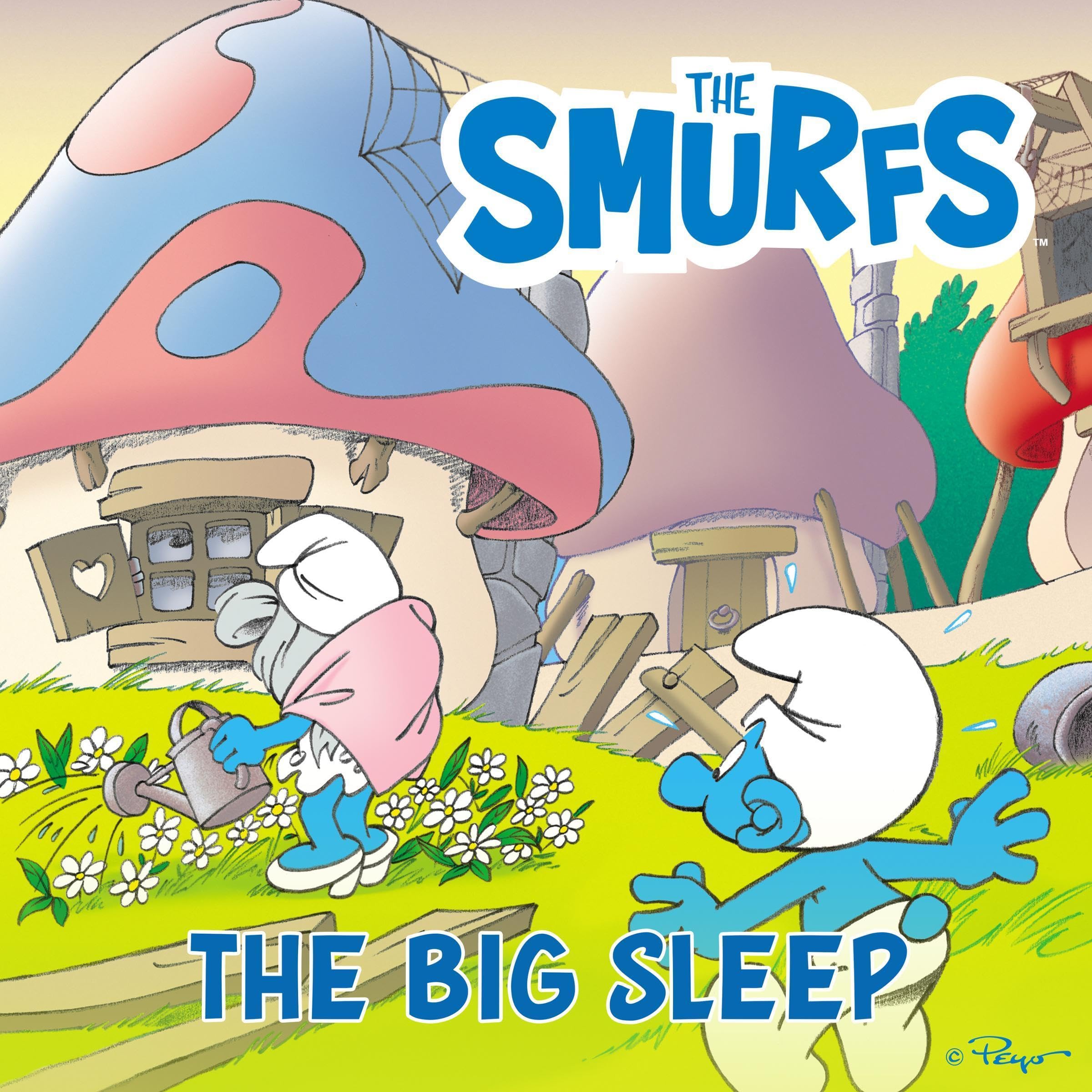 Cover art for The Big Sleep