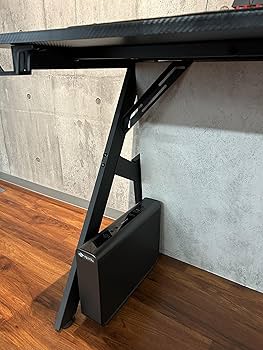 Amazon.co.jp: パイオニア(Pioneer) スピーカー サウンドテクター