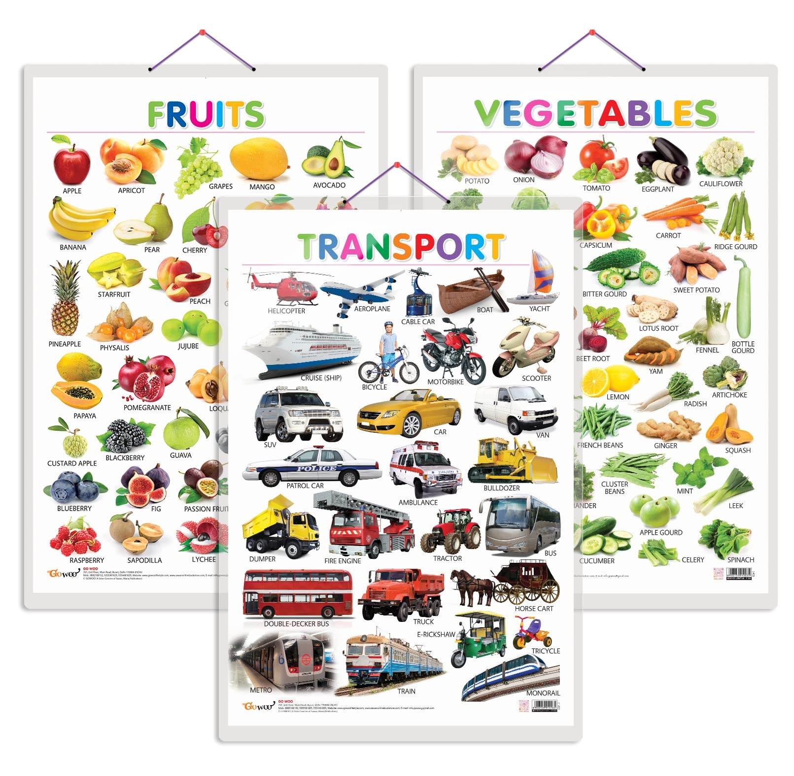 Buy Set of 3 Fruits, Vegetables and Transport Early Learning